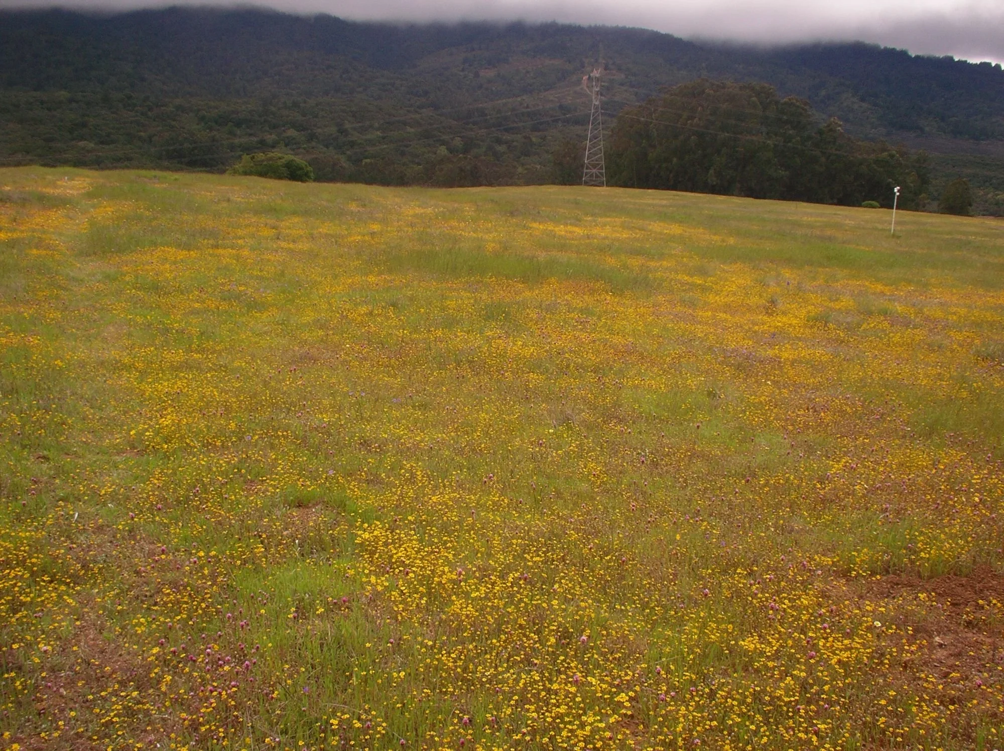 2011-04-20 EW IMG54887.jpg