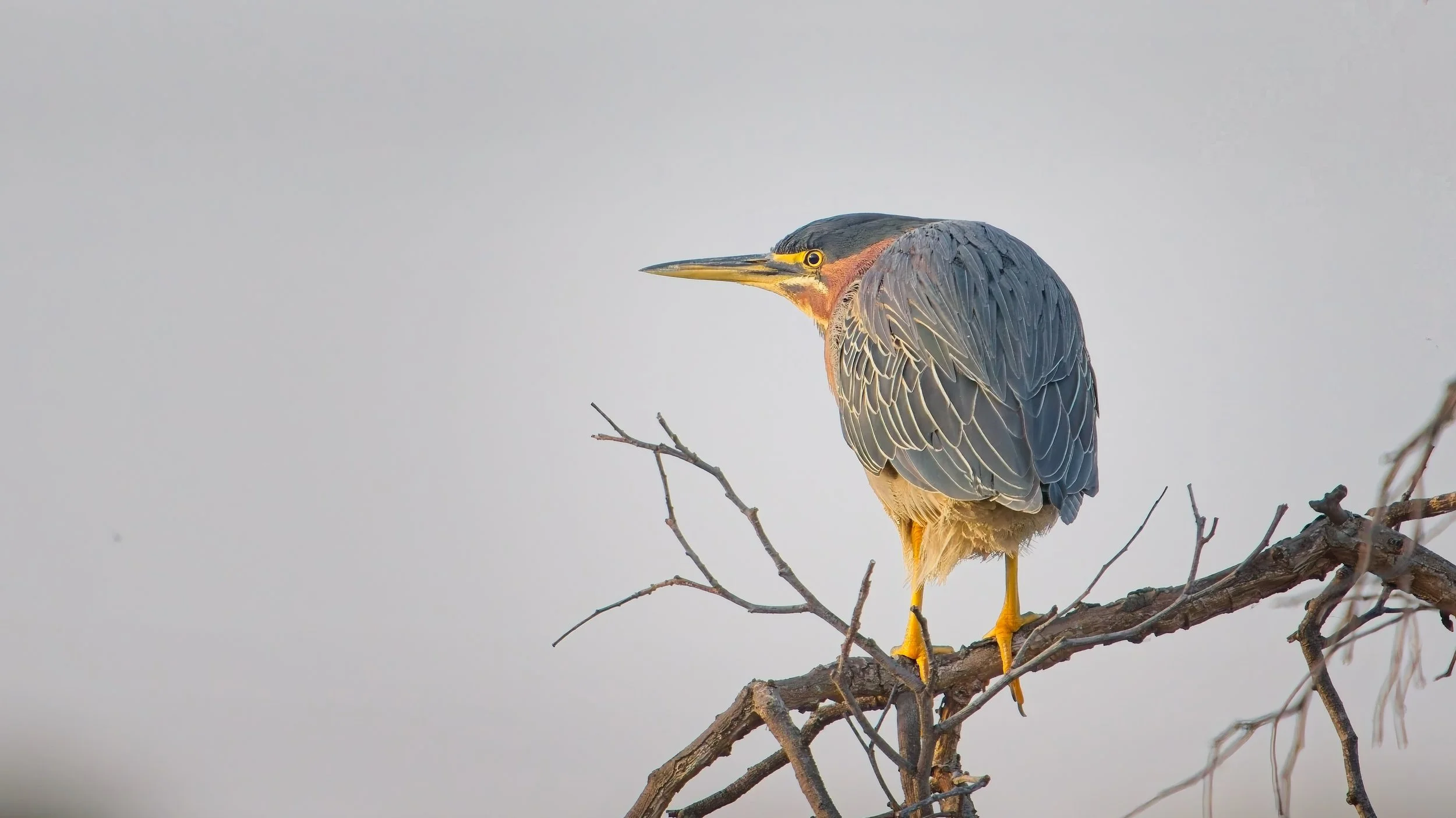 2026-01-31 CY IM149180-NN-ED.jpg