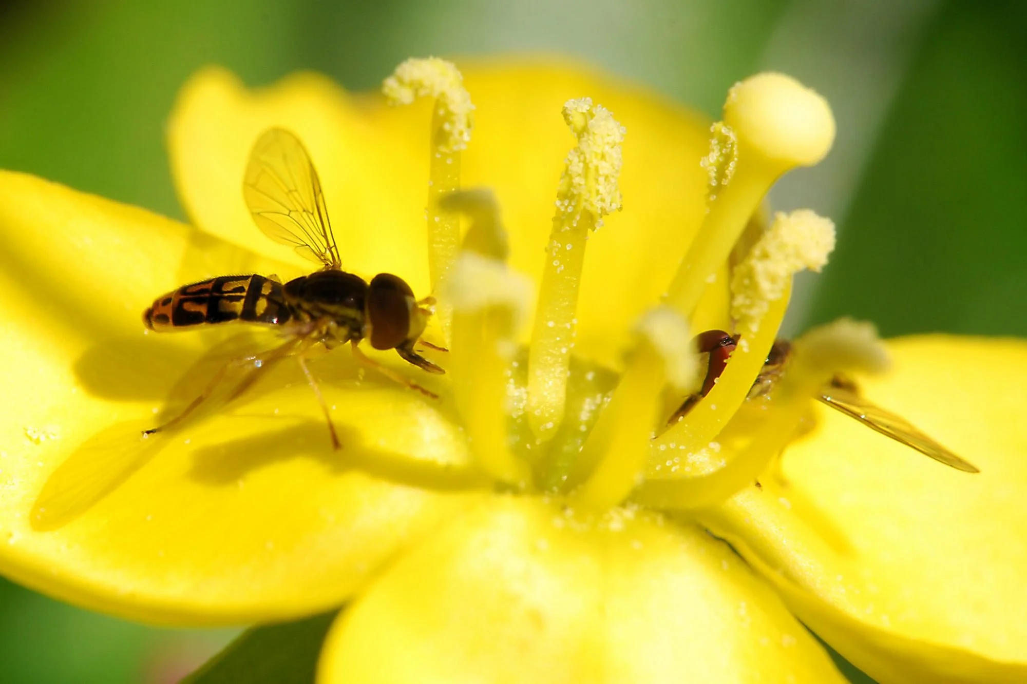 2007-03-07 EW IMG18151-CR4x6-LC-FR-SA+20-USM4-16.jpg