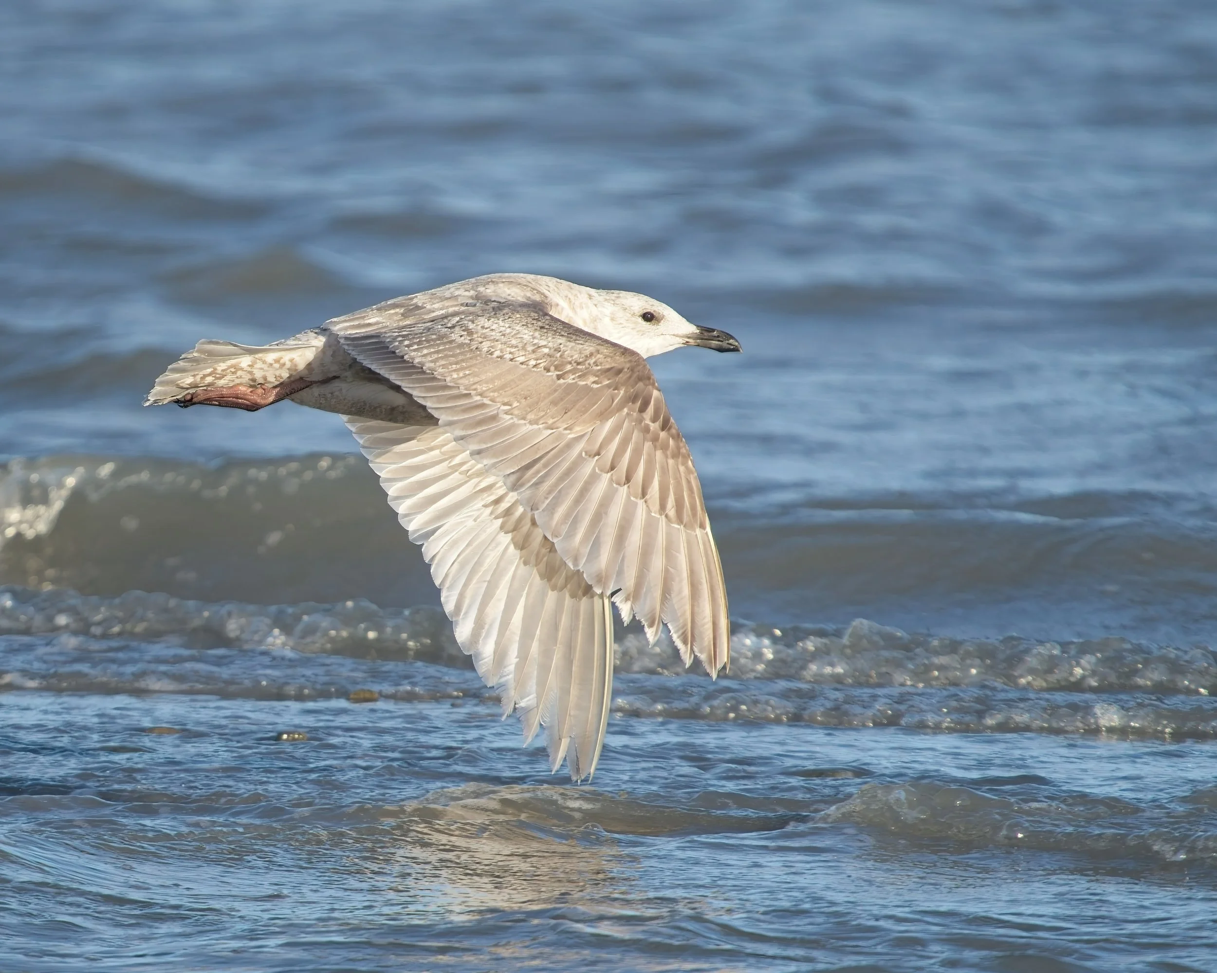 2026-02-21 CY IM149695-E3.jpg