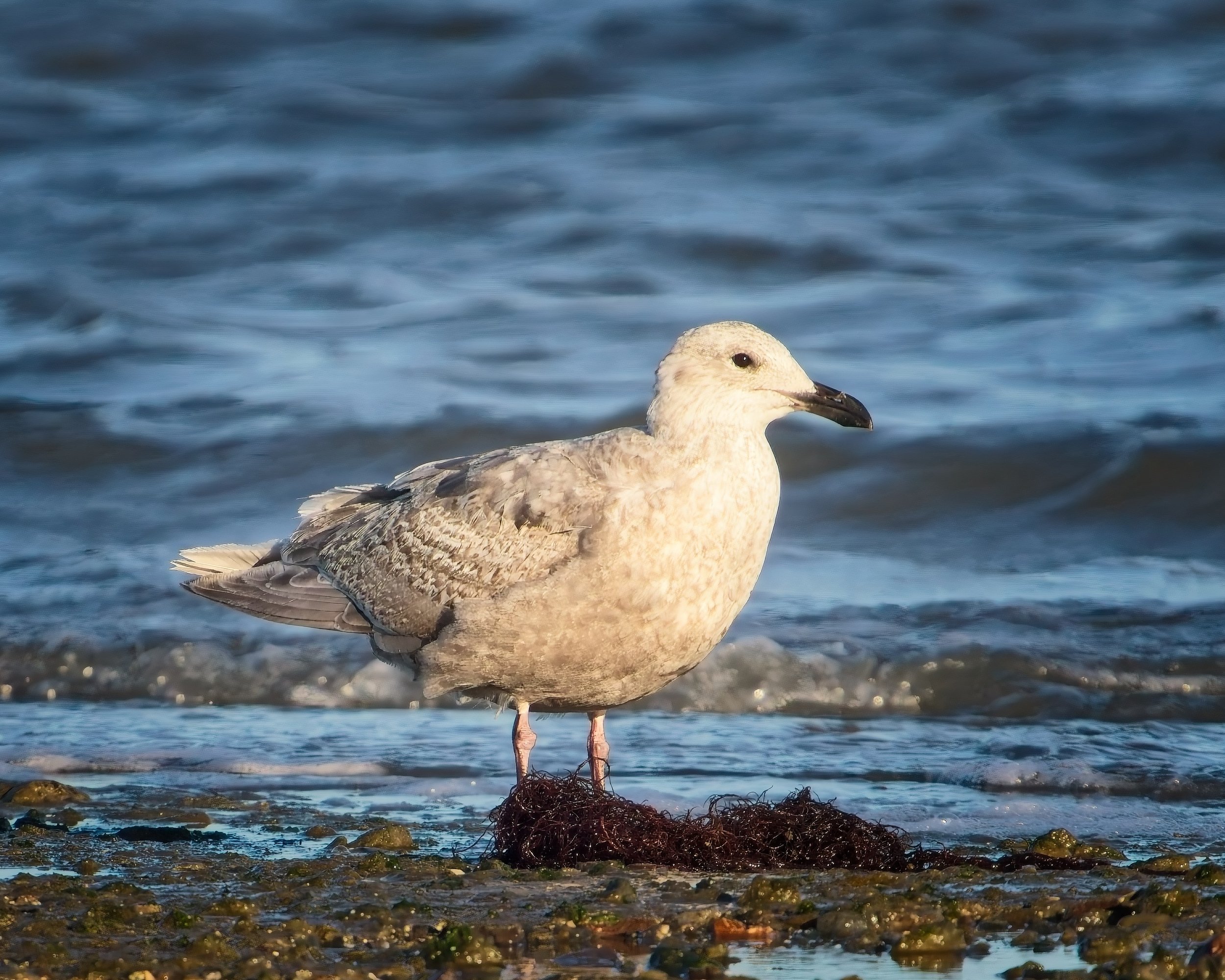 2026-02-21 CY IM149686-E3.jpg