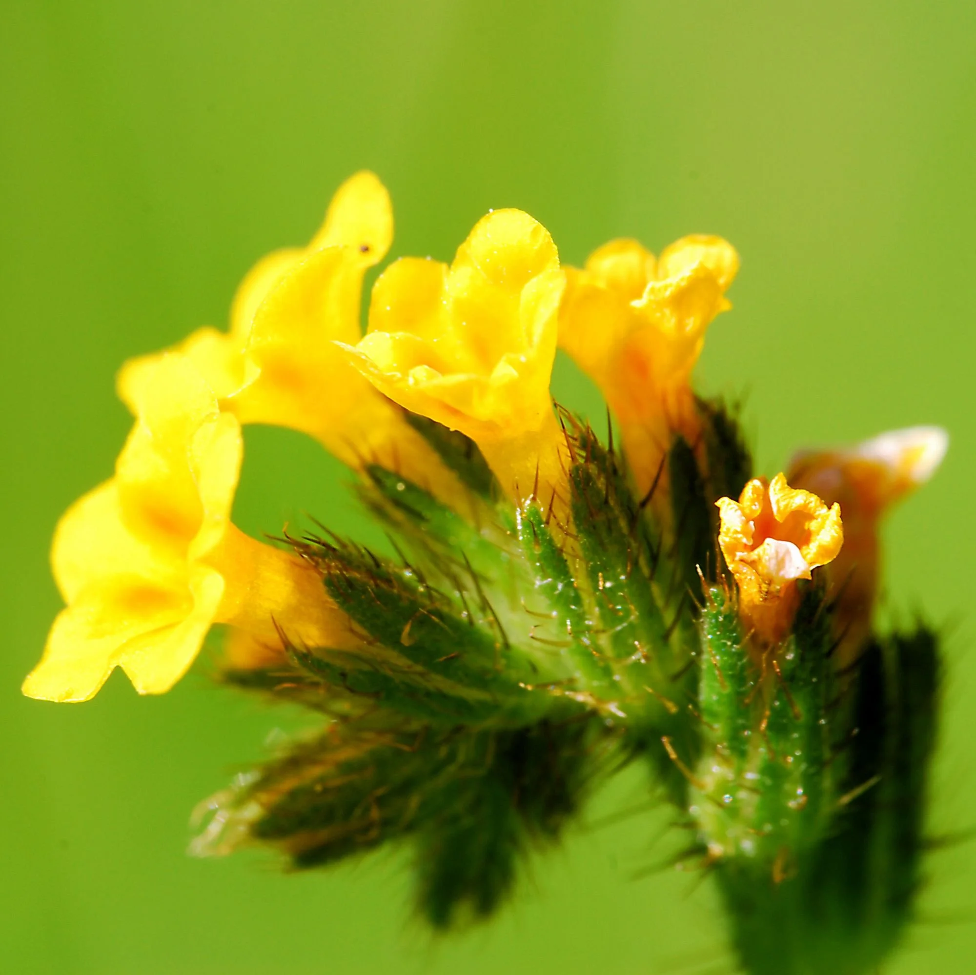 2007-03-05 EW IMG18007-CR4x4-LC-FR-SA+20-USM4-16.jpg