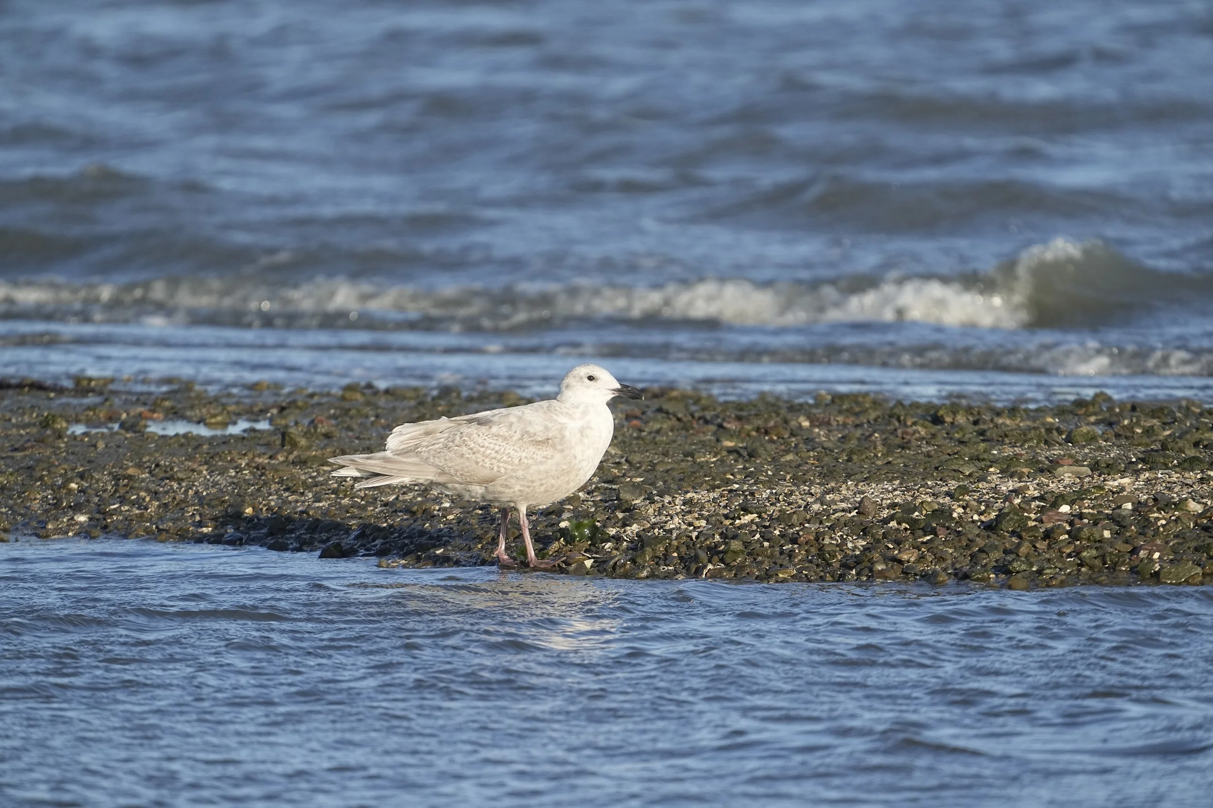 2026-02-21 CY IM149692.JPG