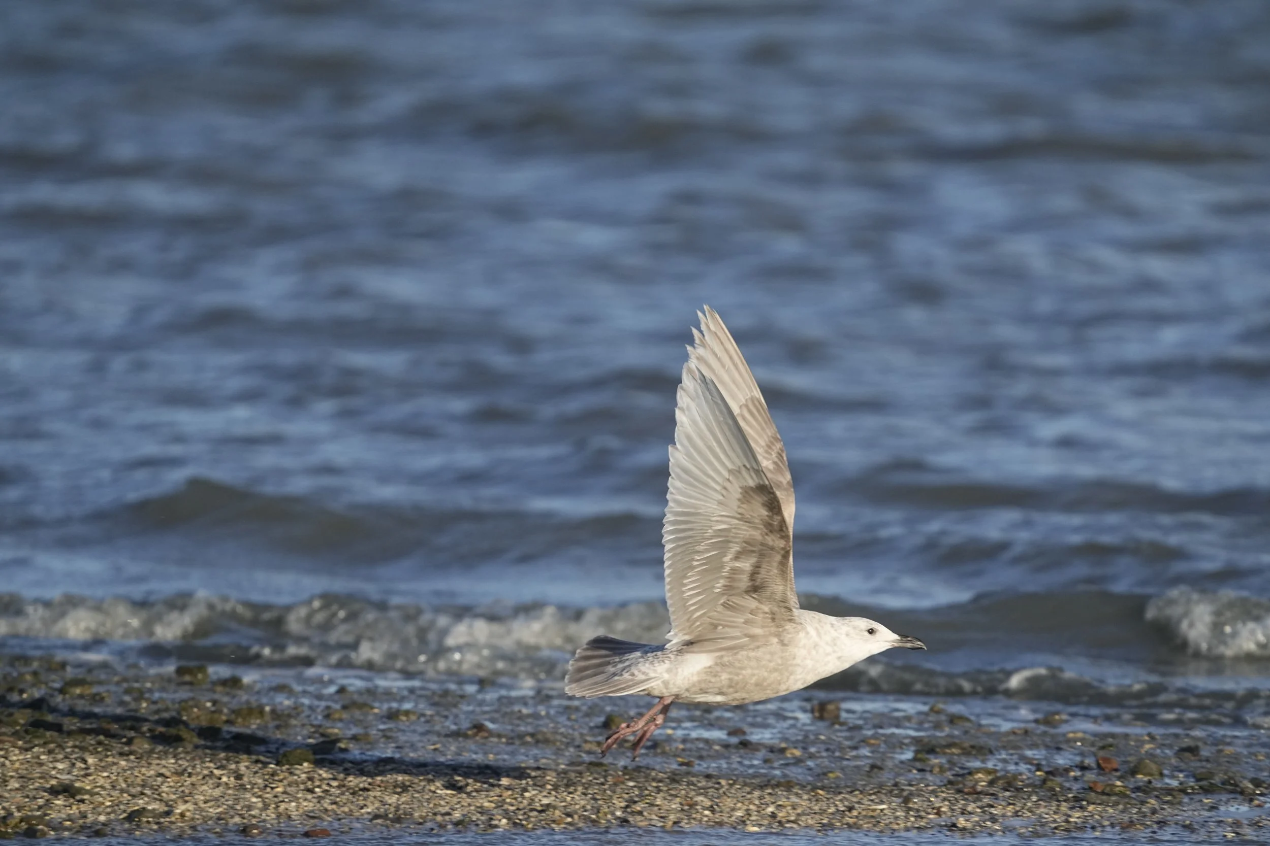 2026-02-21 CY IM149693.JPG