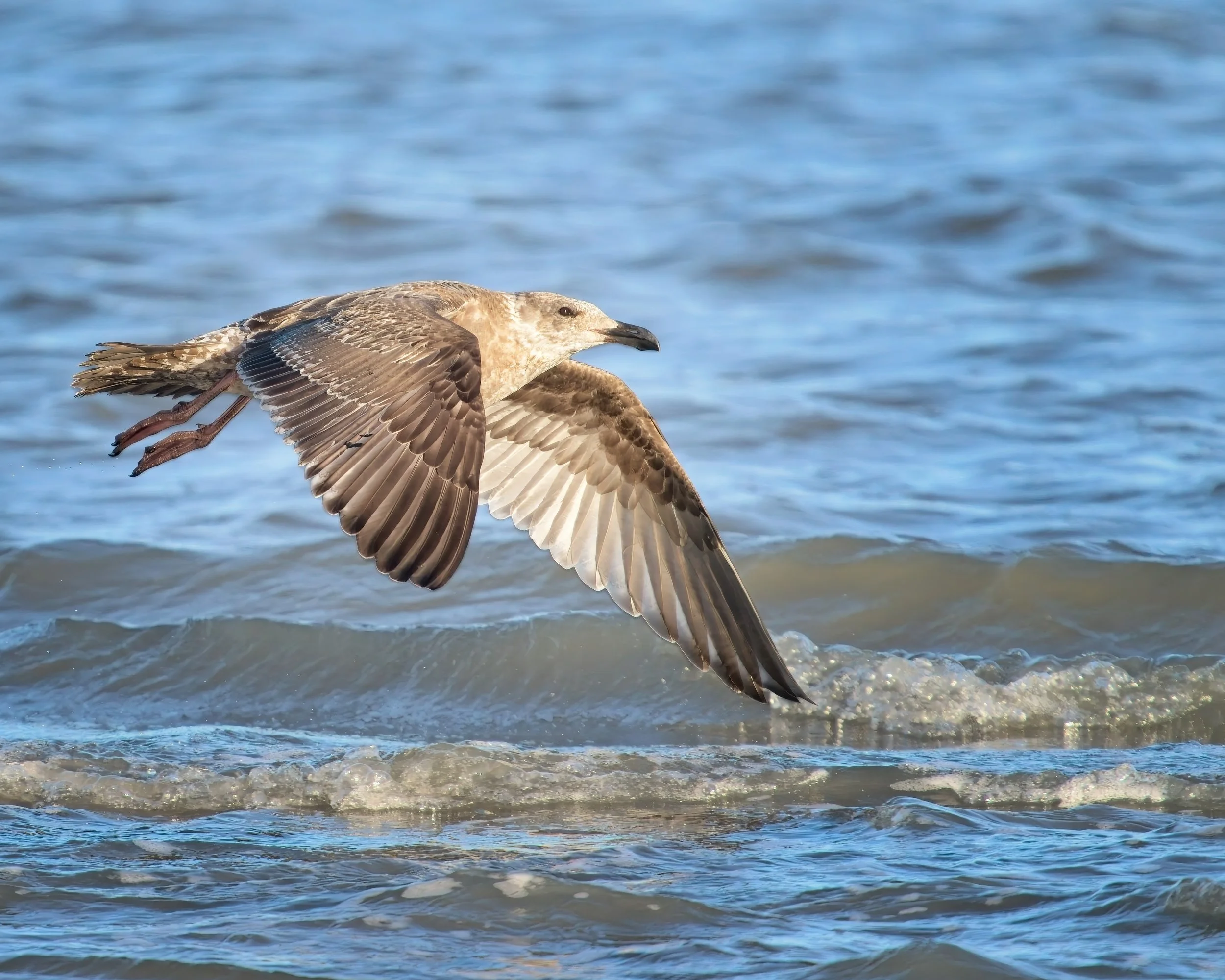 2026-02-21 CY IM149683-E3.jpg