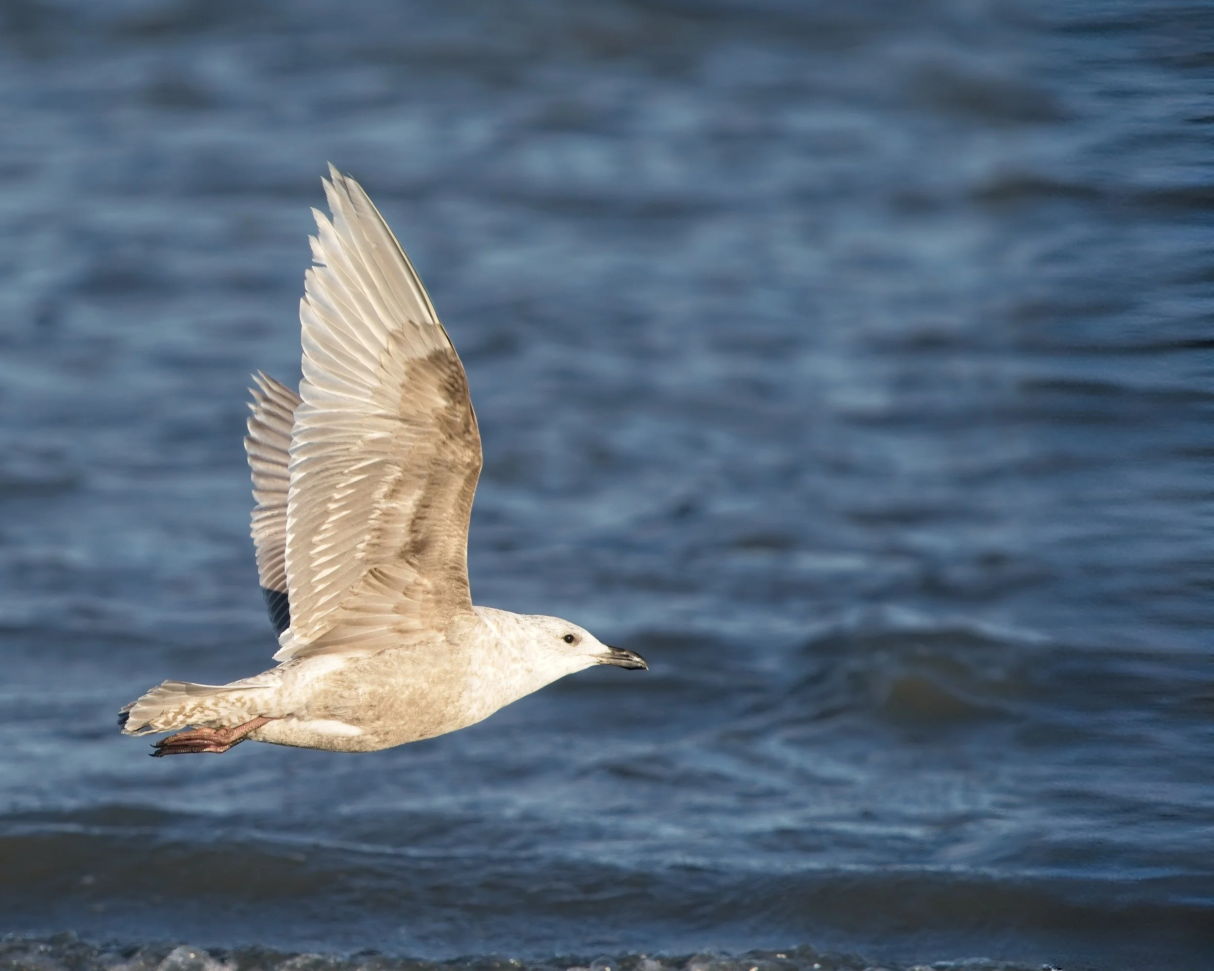 2026-02-21 CY IM149696-E3.jpg