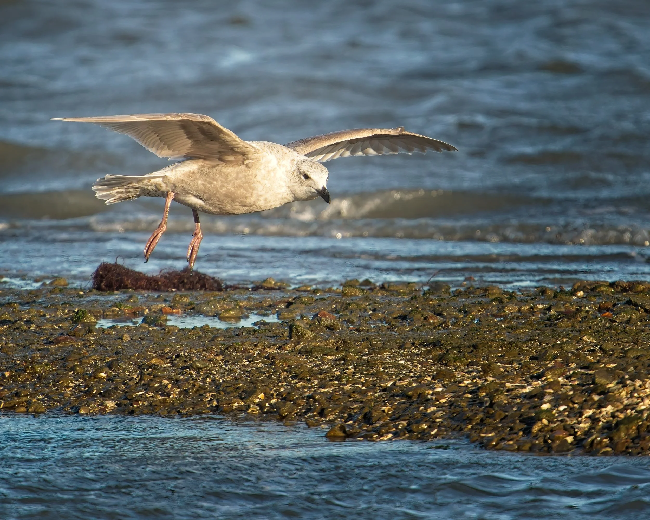 2026-02-21 CY IM149688-E3.jpg