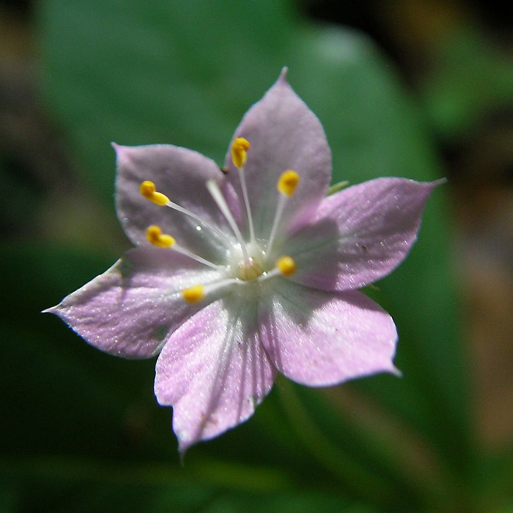 2007-03-22 EW IMG18419-CR4x4-LC-FR-SA+20-USM2-16.jpg