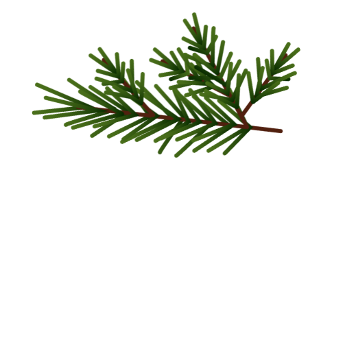 Medical-Legal consulting focused on civilian and military healthcare documentation review and legal case support