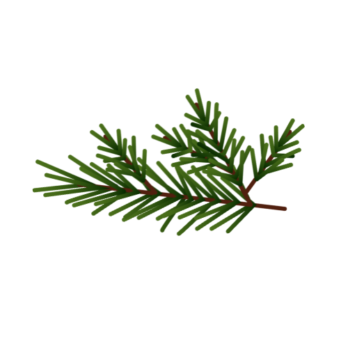 Evergreen Medical-Legal Consulting logo