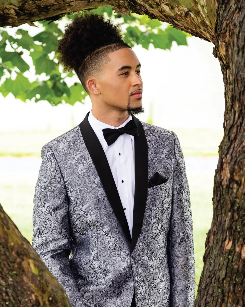 Aries Platinum Paisley