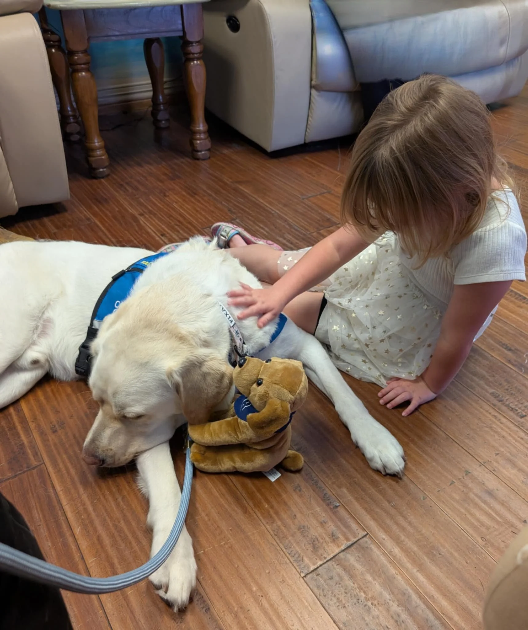 Polar in Action, Vol. 1