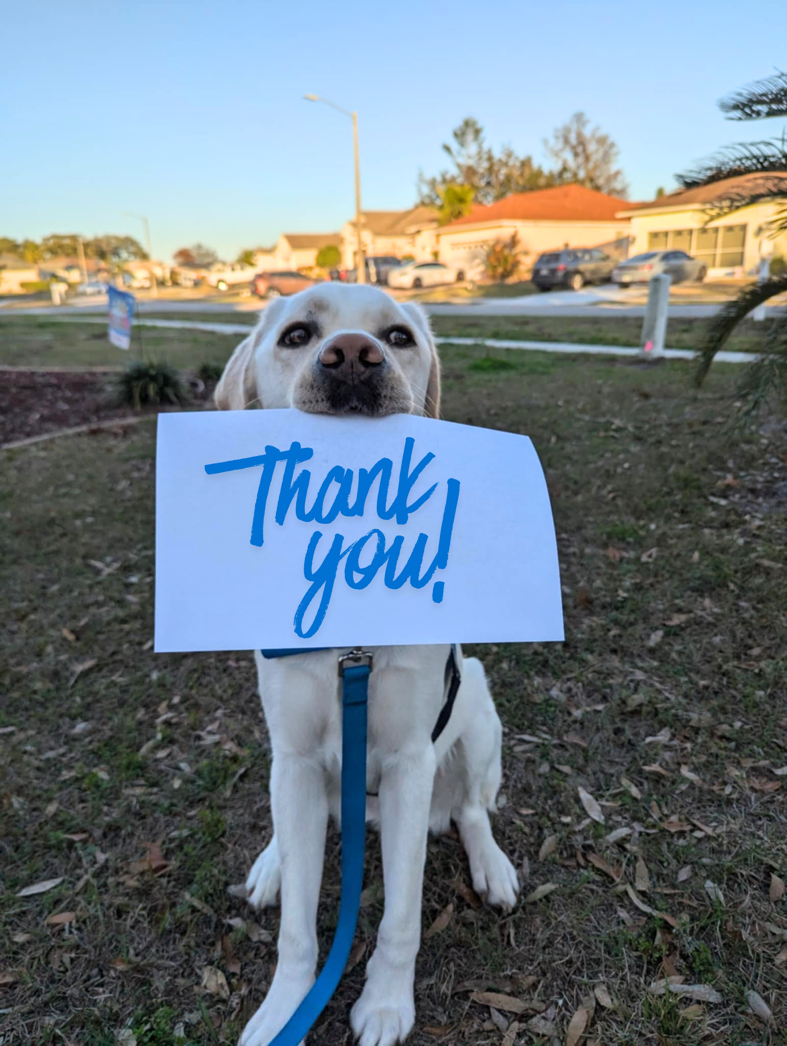Donor Appreciation Event