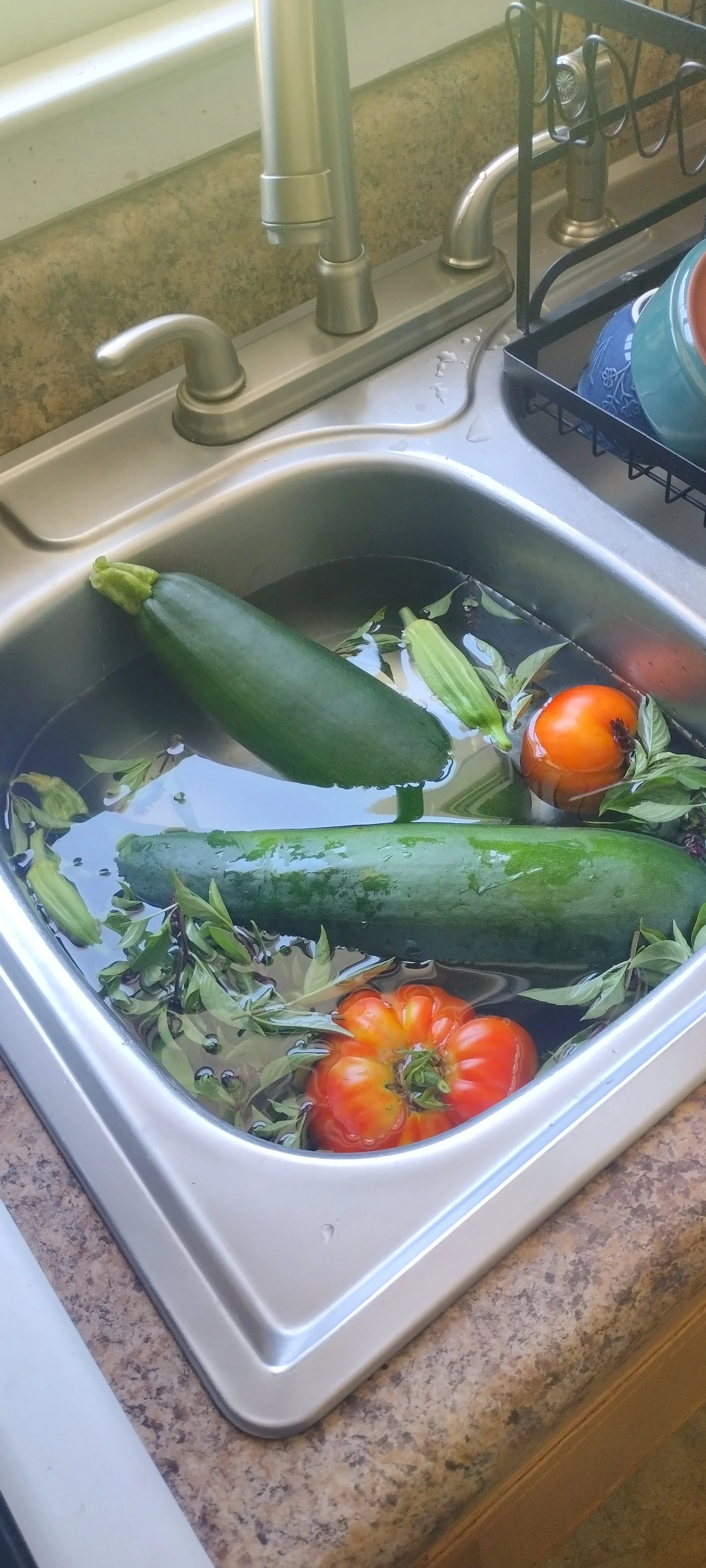 A kitchen sink filled with water and floating vegetables, including two cucumbers, a tomato, and some green herbs.