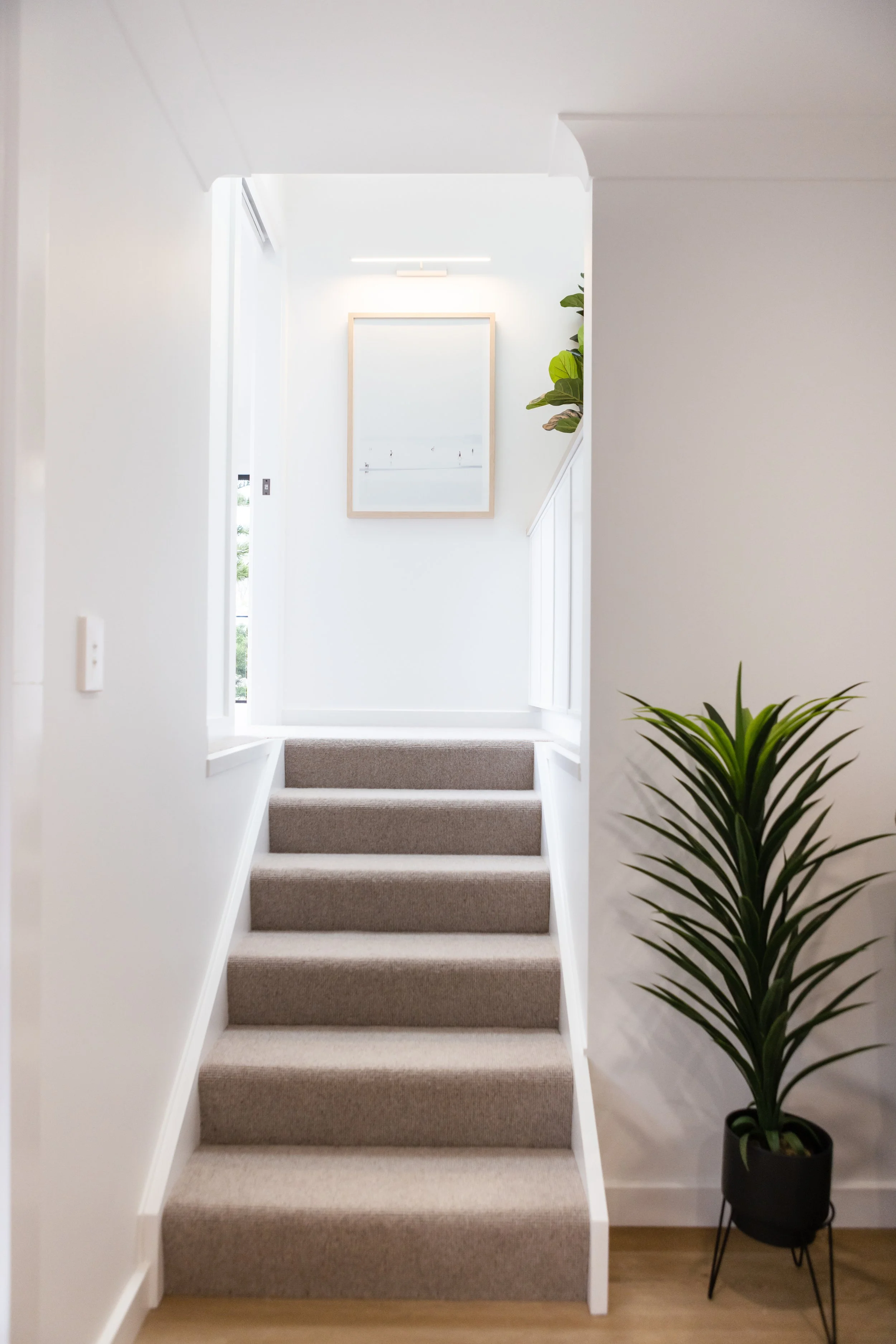 Interior view of a modern staircase with beige carpeted steps, white walls, and a potted plant on the right side, leading to a well-lit landing with framed artwork and a small window.