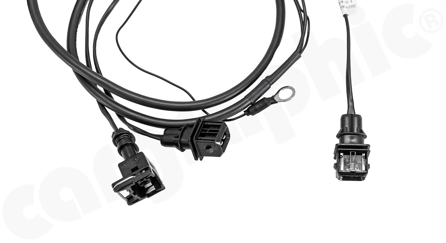 EXFLAPRCOE_05.jpg (Copy)