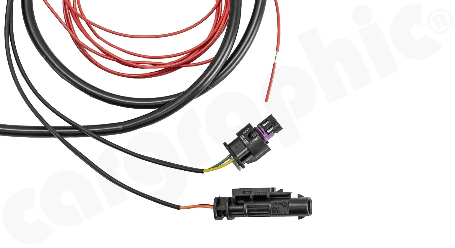 EXFLAPRCPO13_05.jpg (Copy)