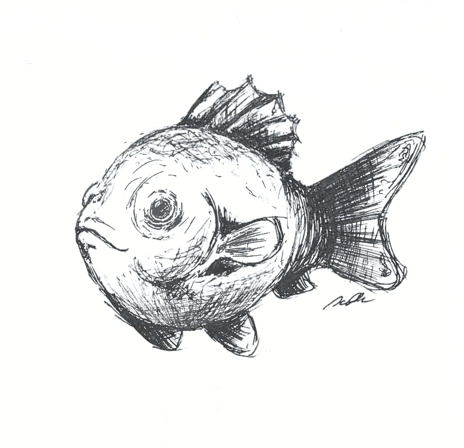 You look like a fish