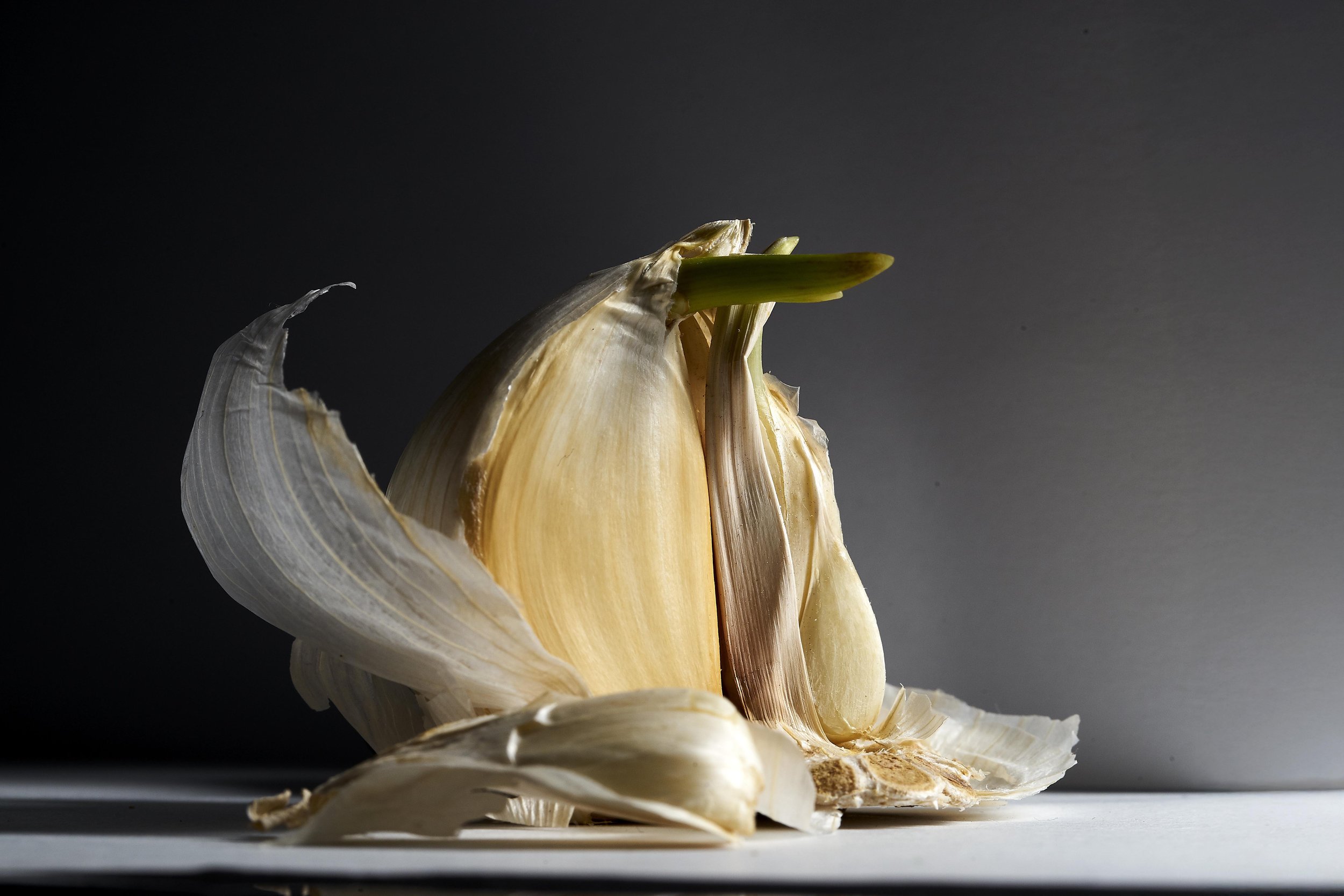 FOOD_21.jpg