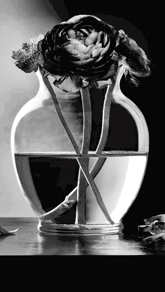 Firefly-Make-vase-break-and-water-spill-on-the-table_A.gif