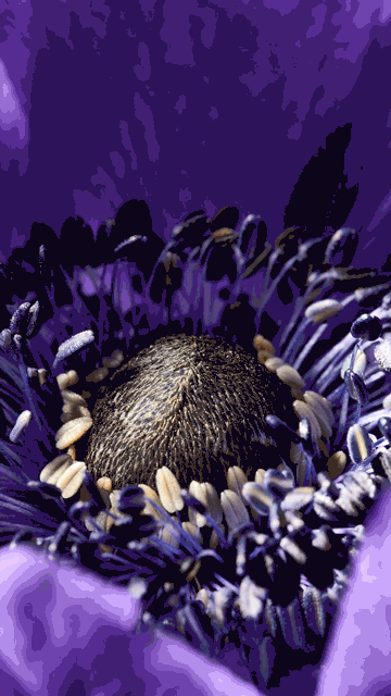 Firefly-add-a-flying-hyper-realistic-bumble-bee-to-the-image-337023_A.gif