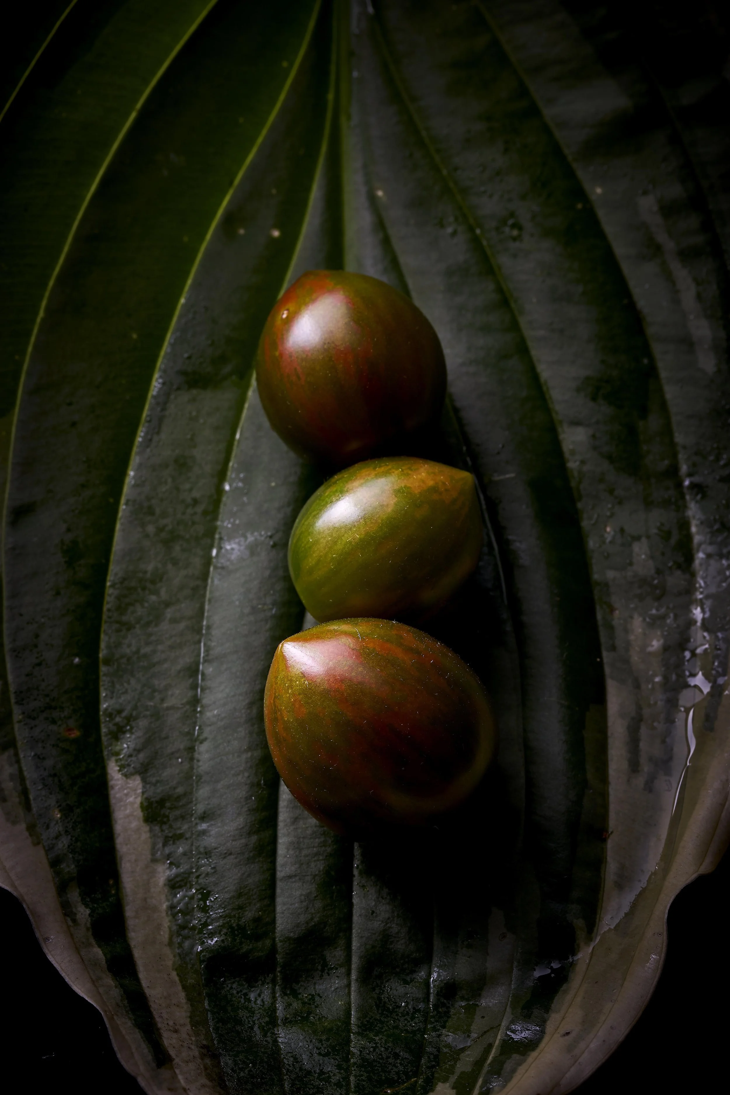FOOD_14.jpg