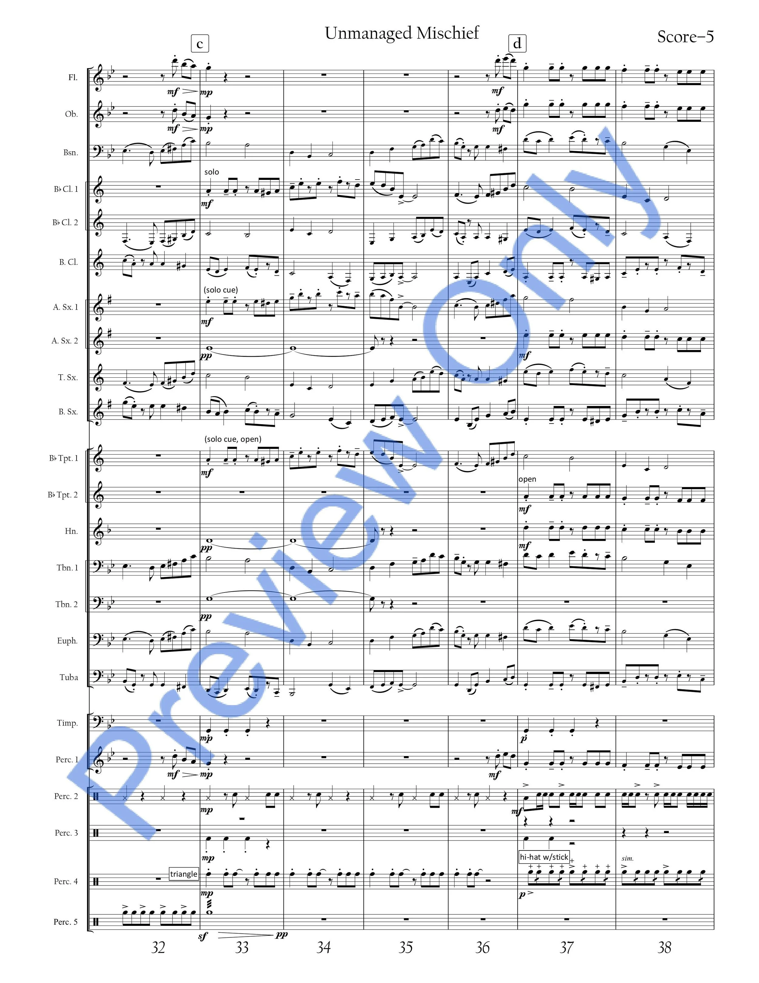 Unmanaged Mischief WATERMARKED SCORE-images-7.jpg