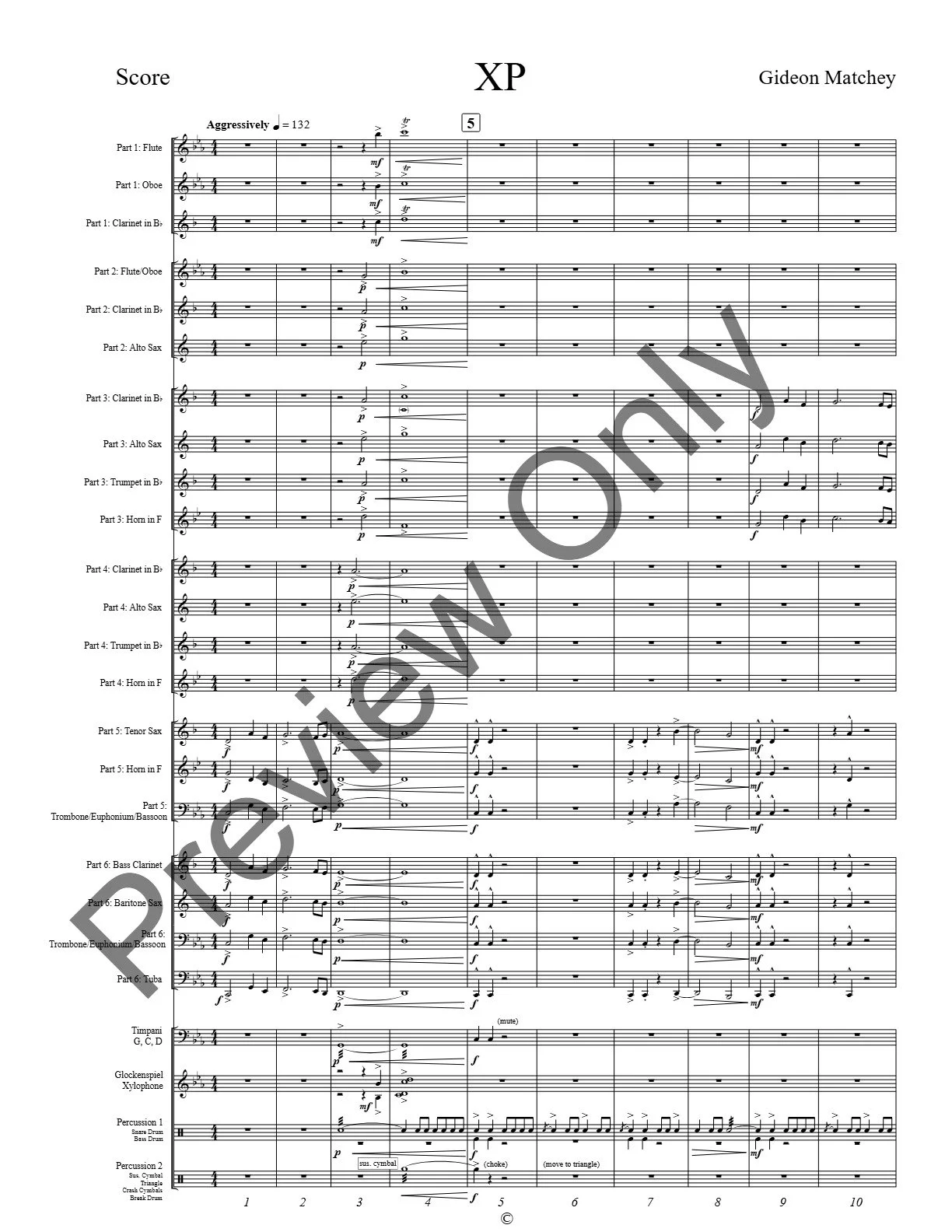 watermarked_XP (Flex Band) SCORE-page-4.jpg