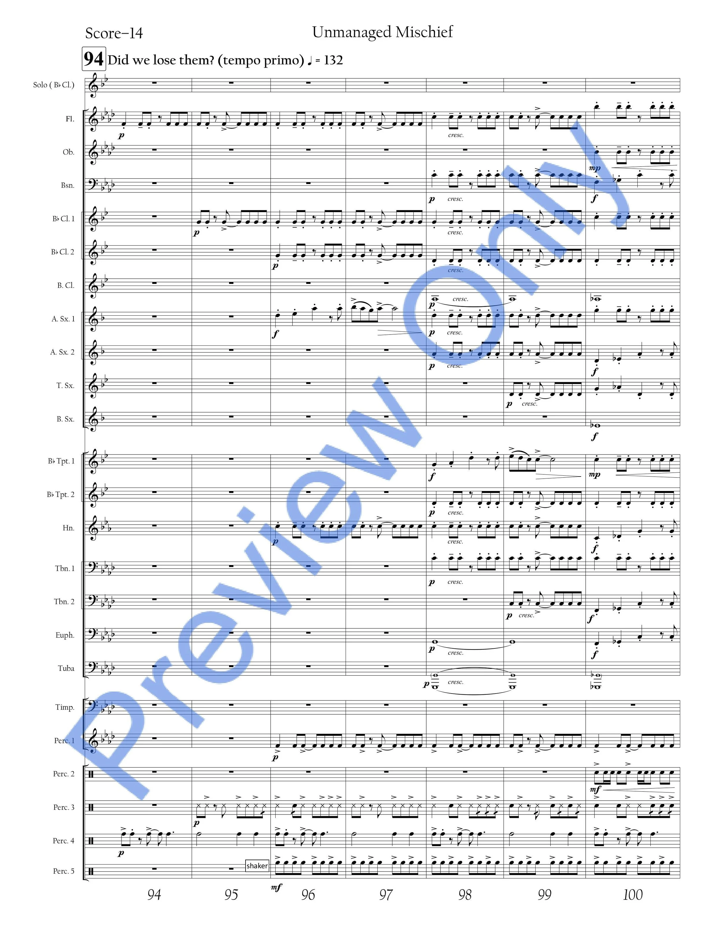 Unmanaged Mischief WATERMARKED SCORE-images-16.jpg