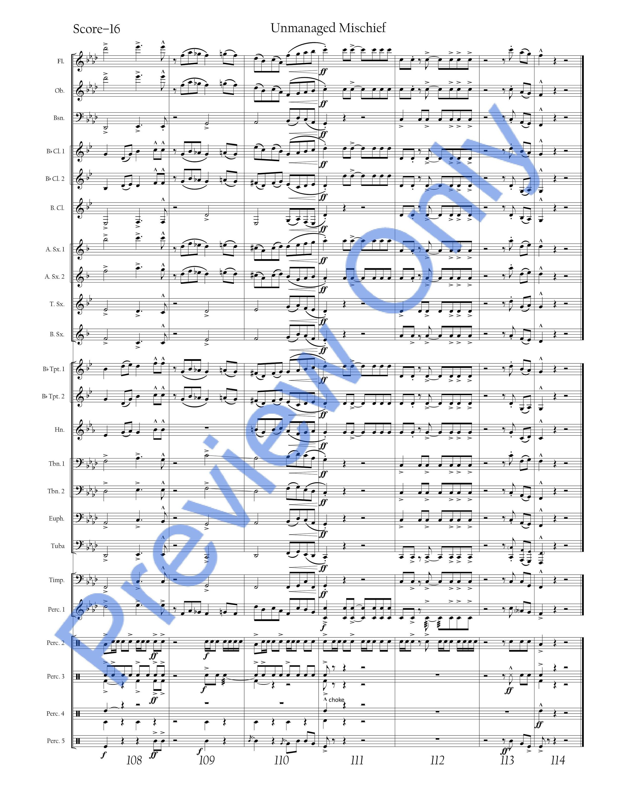 Unmanaged Mischief WATERMARKED SCORE-images-18.jpg