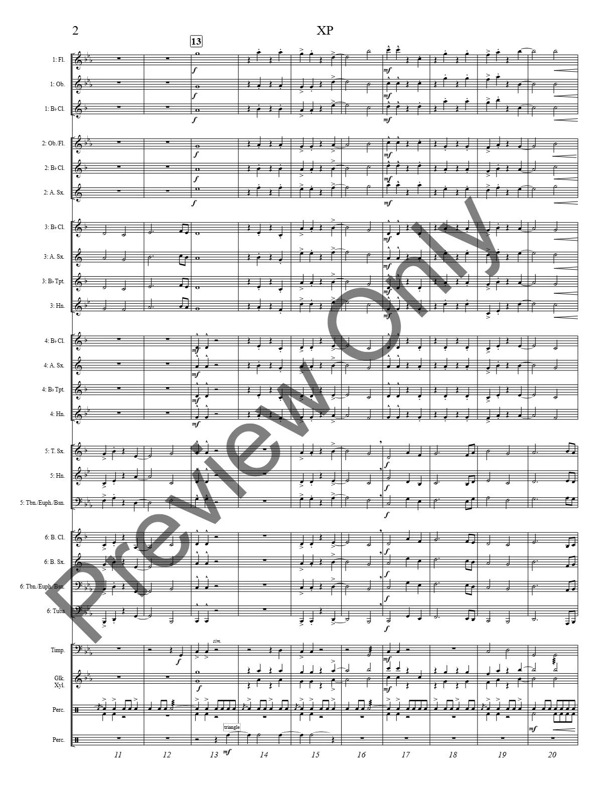 watermarked_XP (Flex Band) SCORE-page-5.jpg