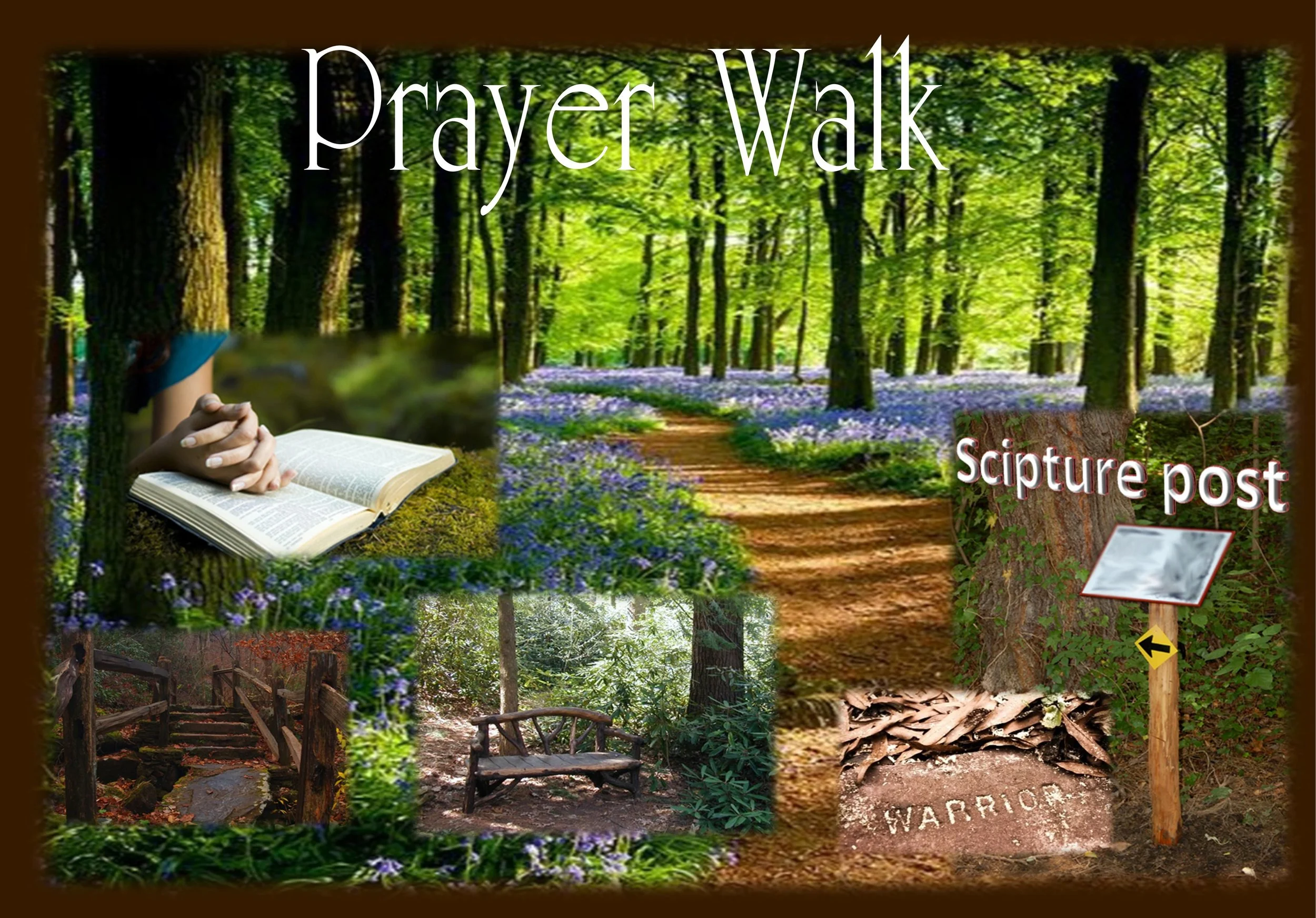 A peaceful, prayer walk through the trees