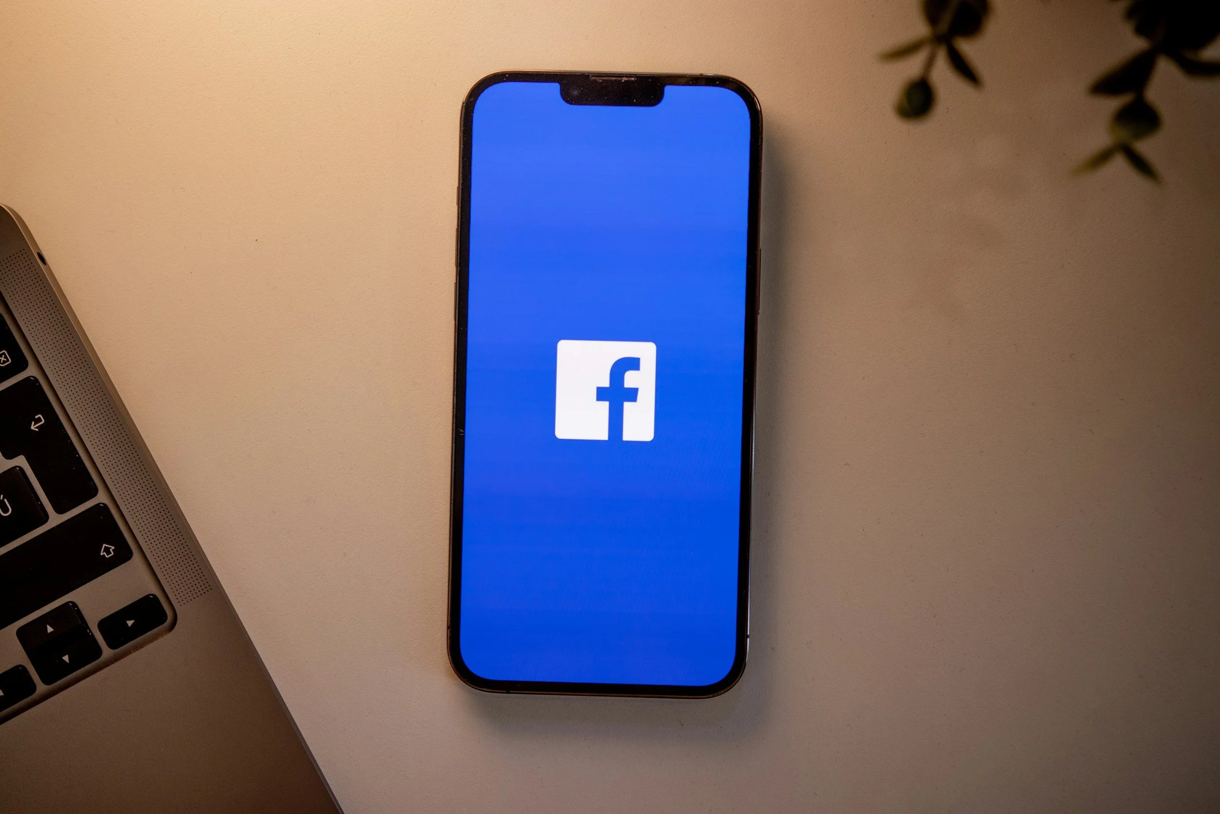 Smartphone on a white desk displaying the Facebook app logo on the screen. Part of a laptop keyboard is visible on the left side, and a branch with leaves is in the upper right corner.