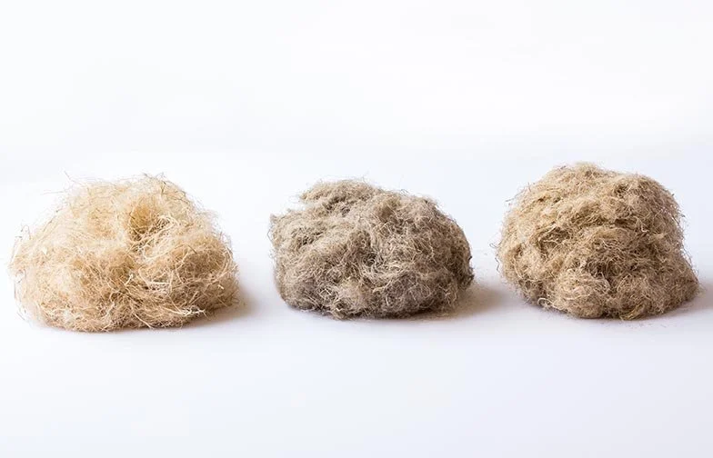 Hemp Fiber