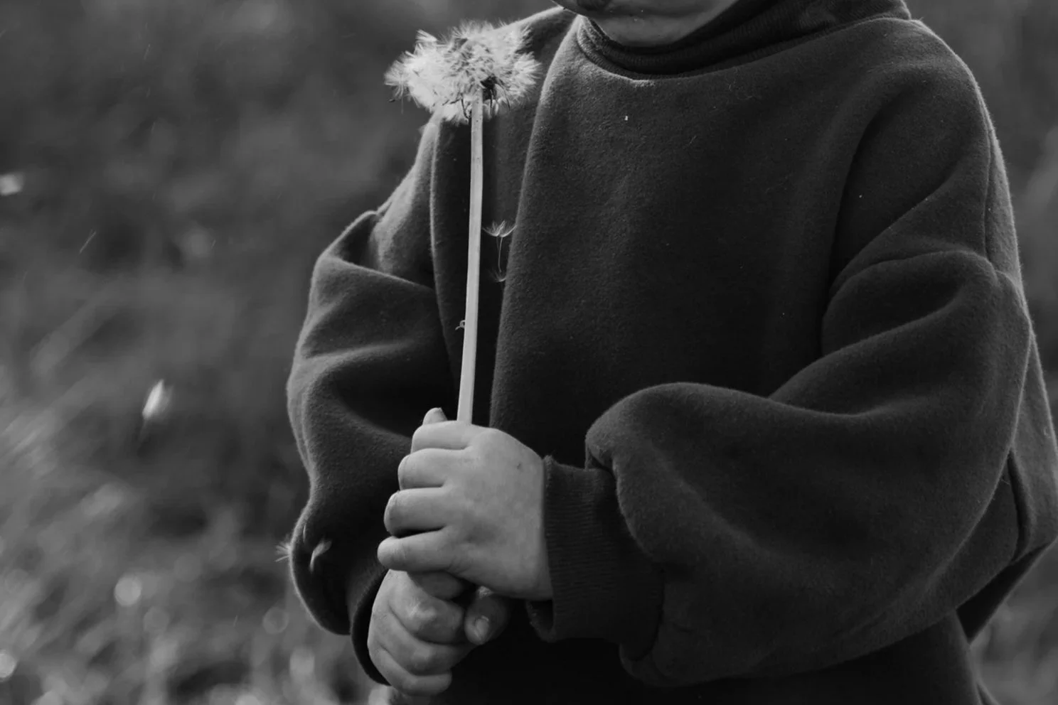 Child holding a dandelion flower outdoors, wearing a dark sweatshirt.