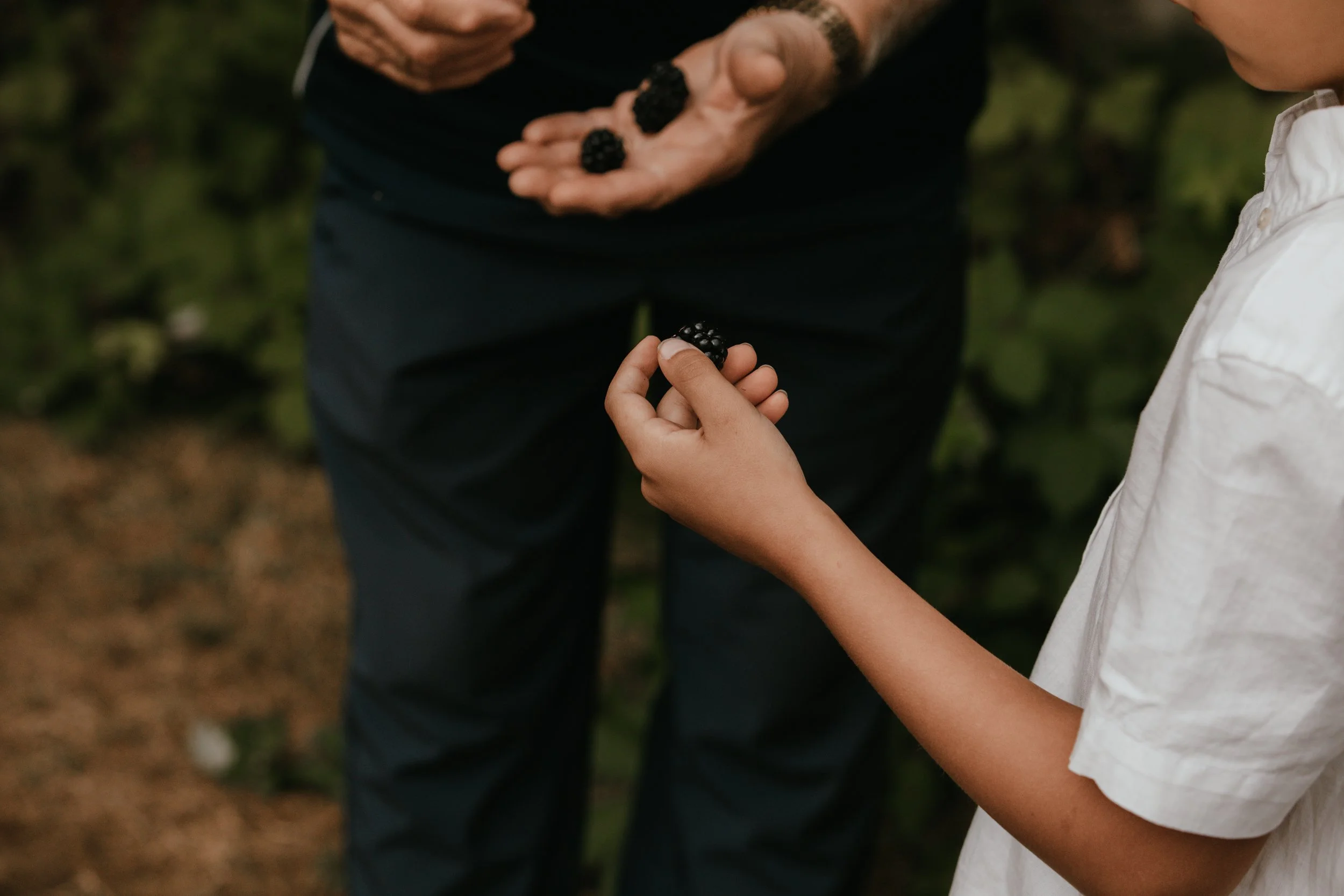 A child holding a blackberry in hand while an adult shows more blackberries on palm in a bushy outdoor setting.