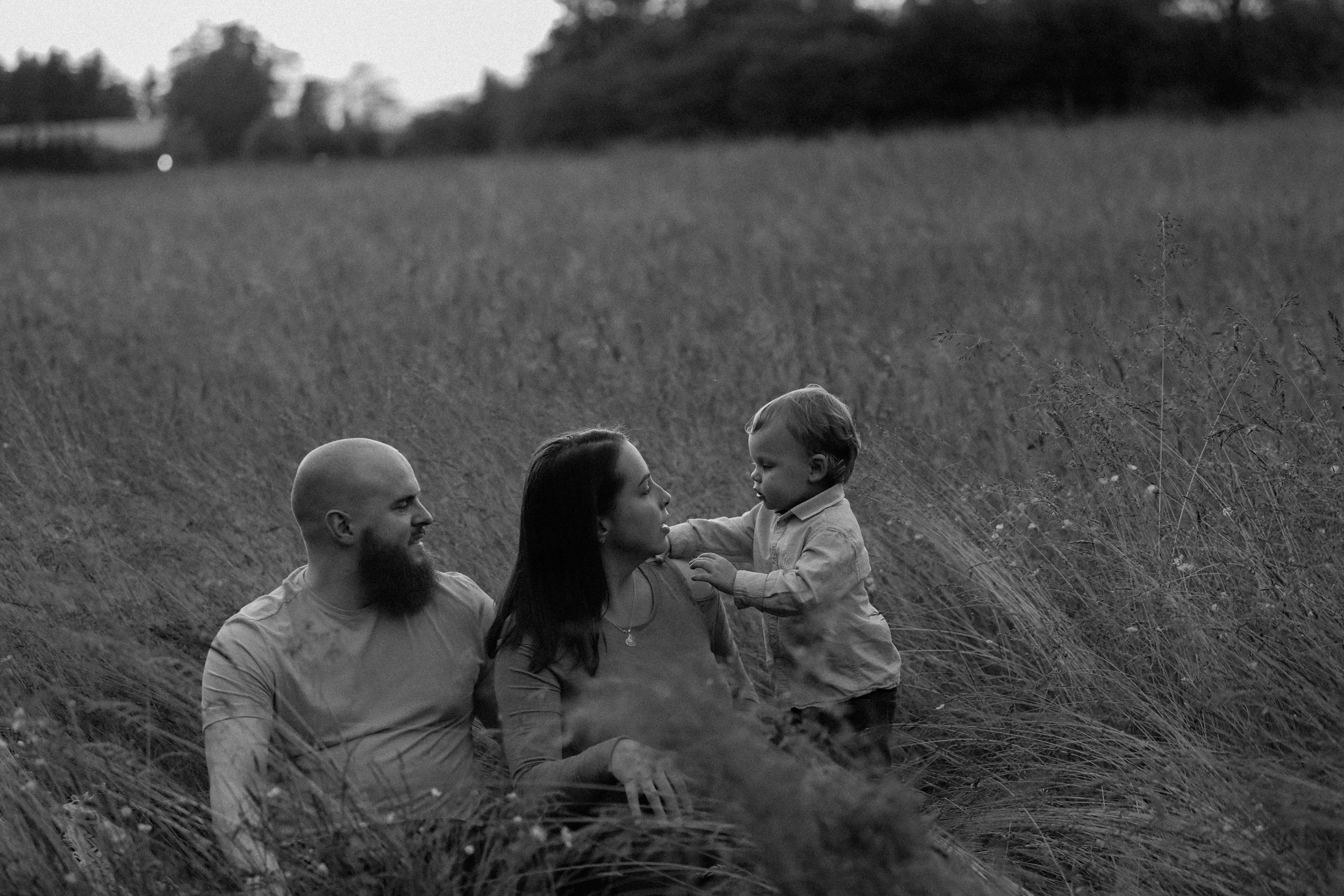A family of three sitting in a grassy field. The father has a beard and is bald, the mother has long dark hair, and the young boy with light hair is standing and touching the mother's face.