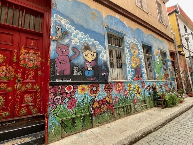Street mural painted on the building wall depicting cartoon characters and bright colorful flowers in Chile, seen during a Chilean Wine Uncovered wine country tour.