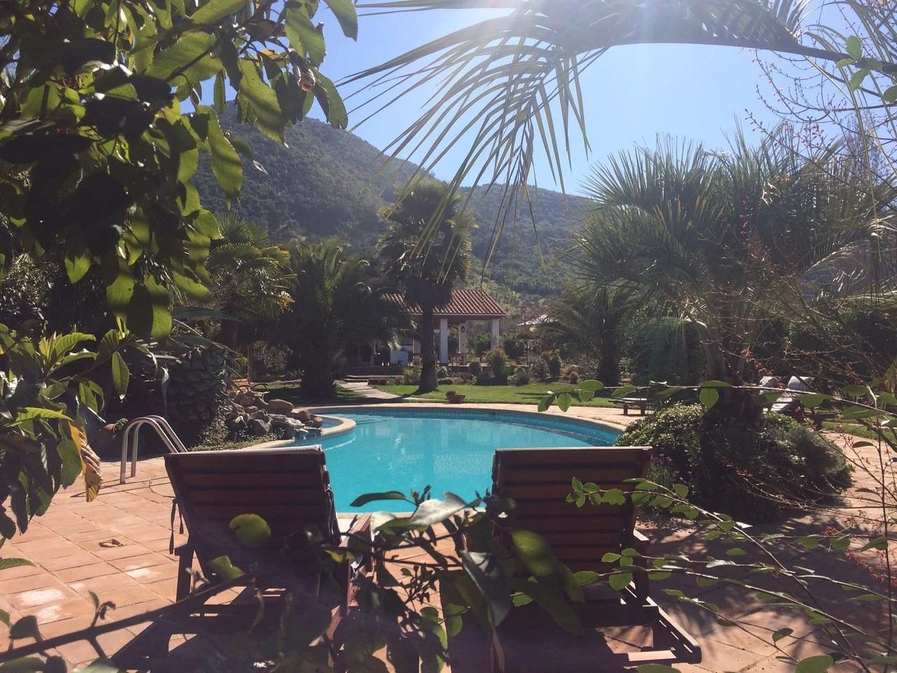 A backyard swimming pool surrounded by palm trees and lush greenery with a mountain in the background, under a clear blue sky in Chile, a stay during a Chilean Wine Uncovered wine country tour.