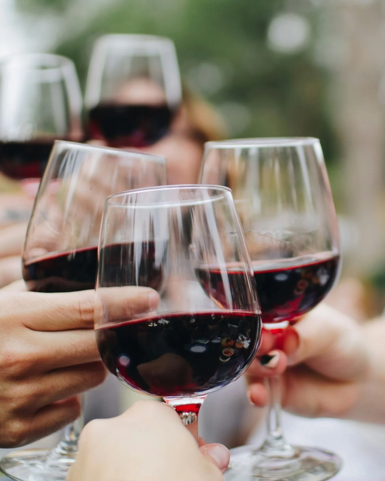 People clinking glasses of Chilean red wine in a toast on a Wine Uncovered wine tour of Chile.