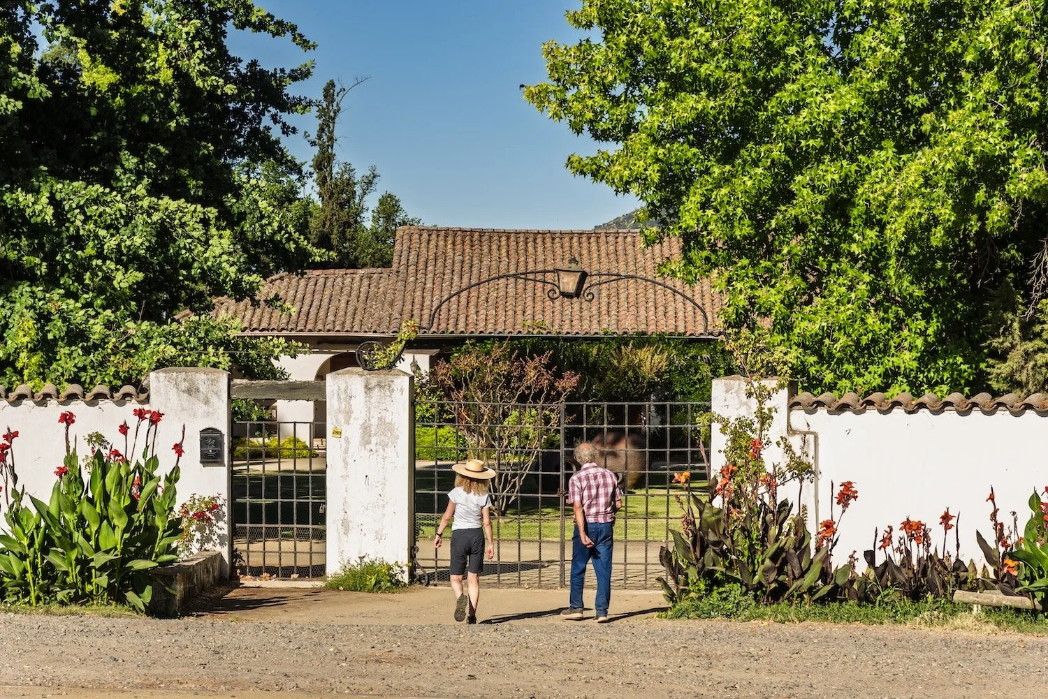 Vineyard and winery entrance on a Chile wine country tour with Popi Planella of Chilean Wine Uncovered.
