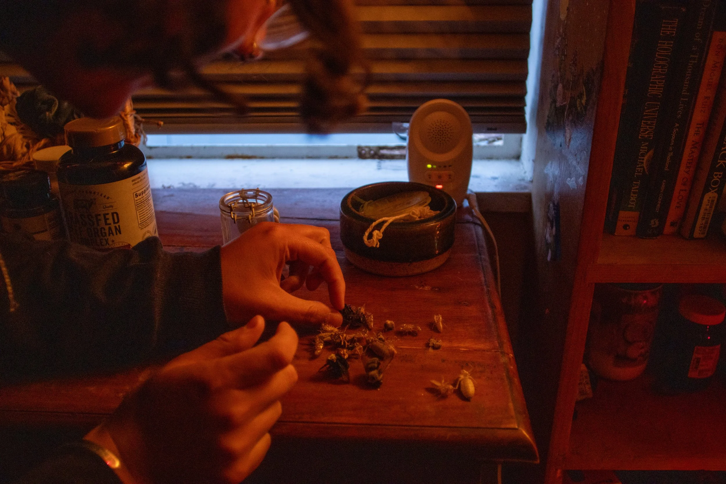 06_Photo Story_OR_06 copy.jpg