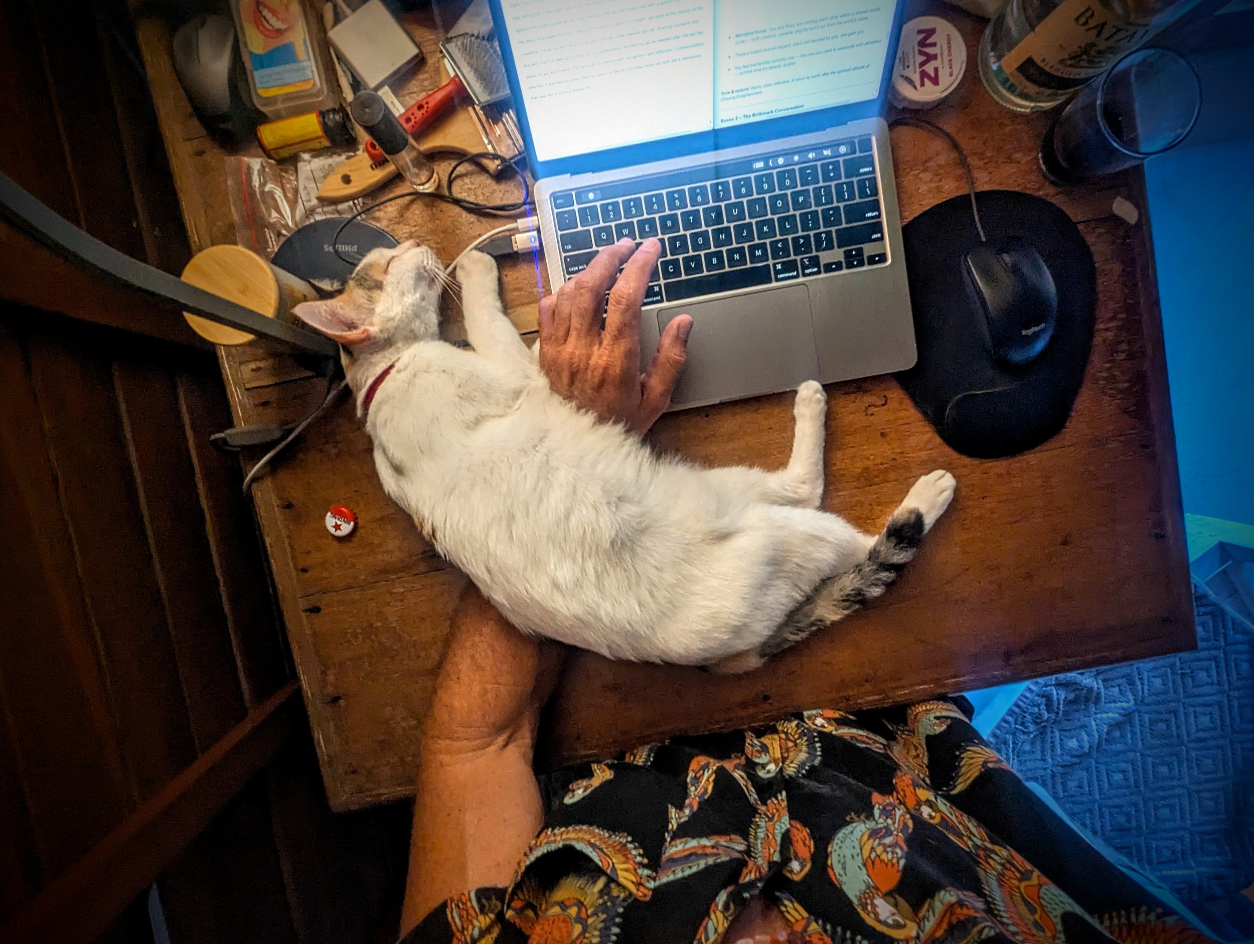 Kris Nolan working on a laptop while his cat lies across his arm on a wooden desk.