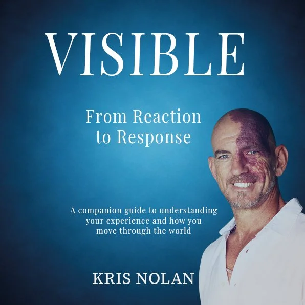 VISIBLE Companion Guide - cover (square) - v2.jpg