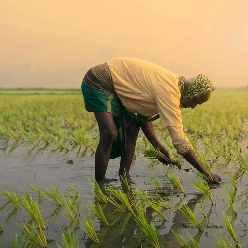 Missions and theology in unreached places