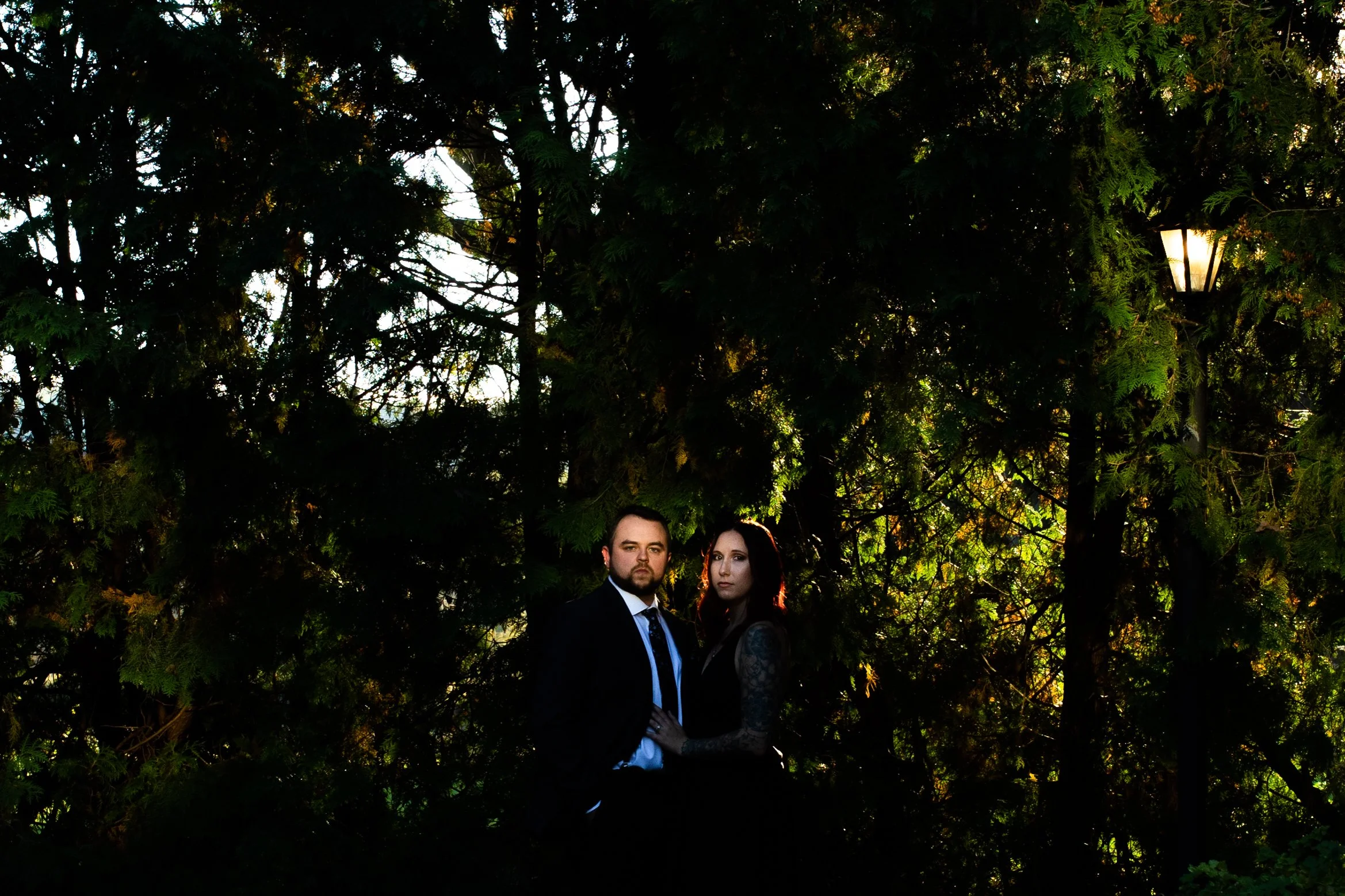 A man and woman in formal attire standing closely together outdoors, surrounded by dark green trees and illuminated by warm light from a garden lamp.