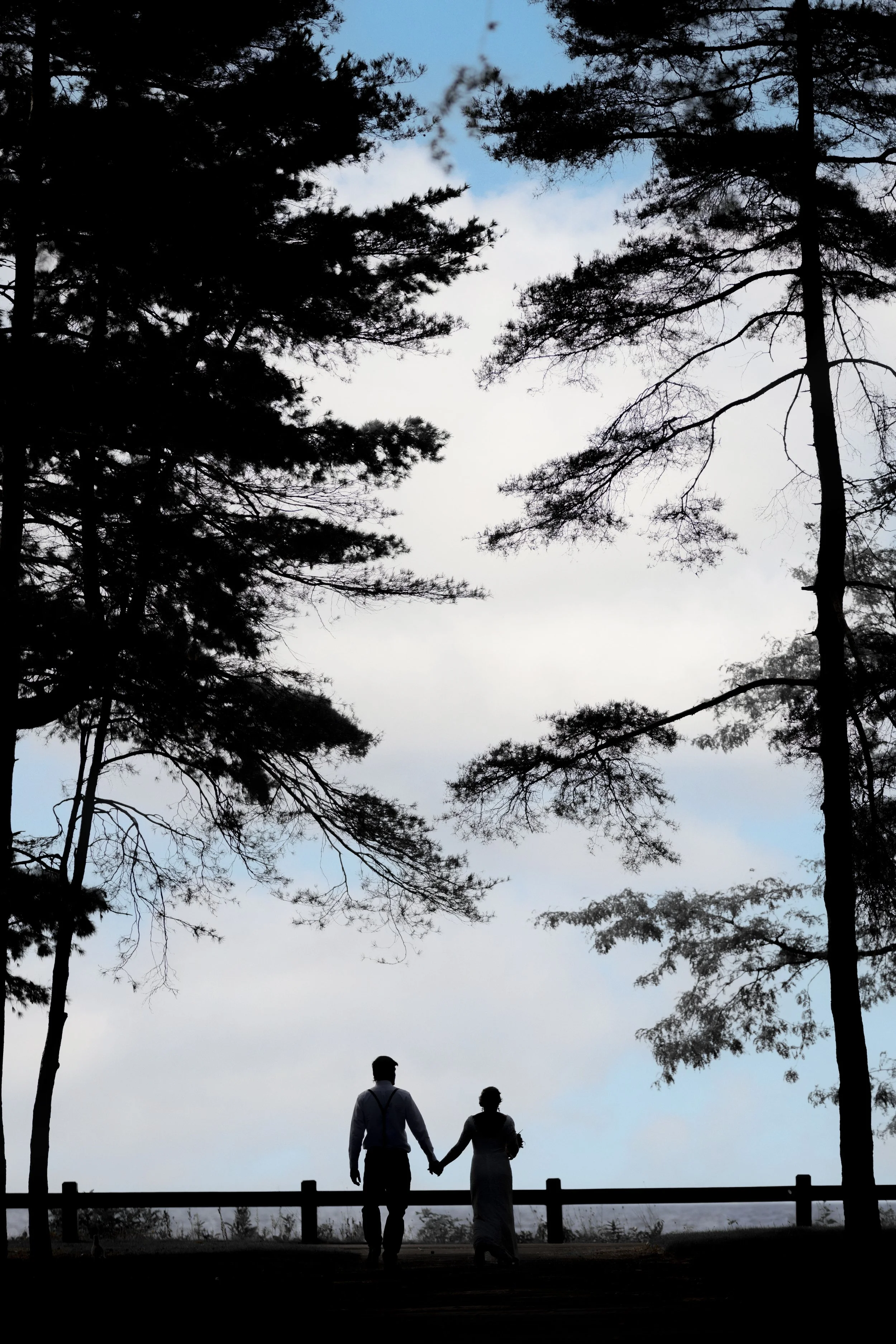 A silhouette of a man and woman holding hands walking along a path with trees overhead and a sky background.