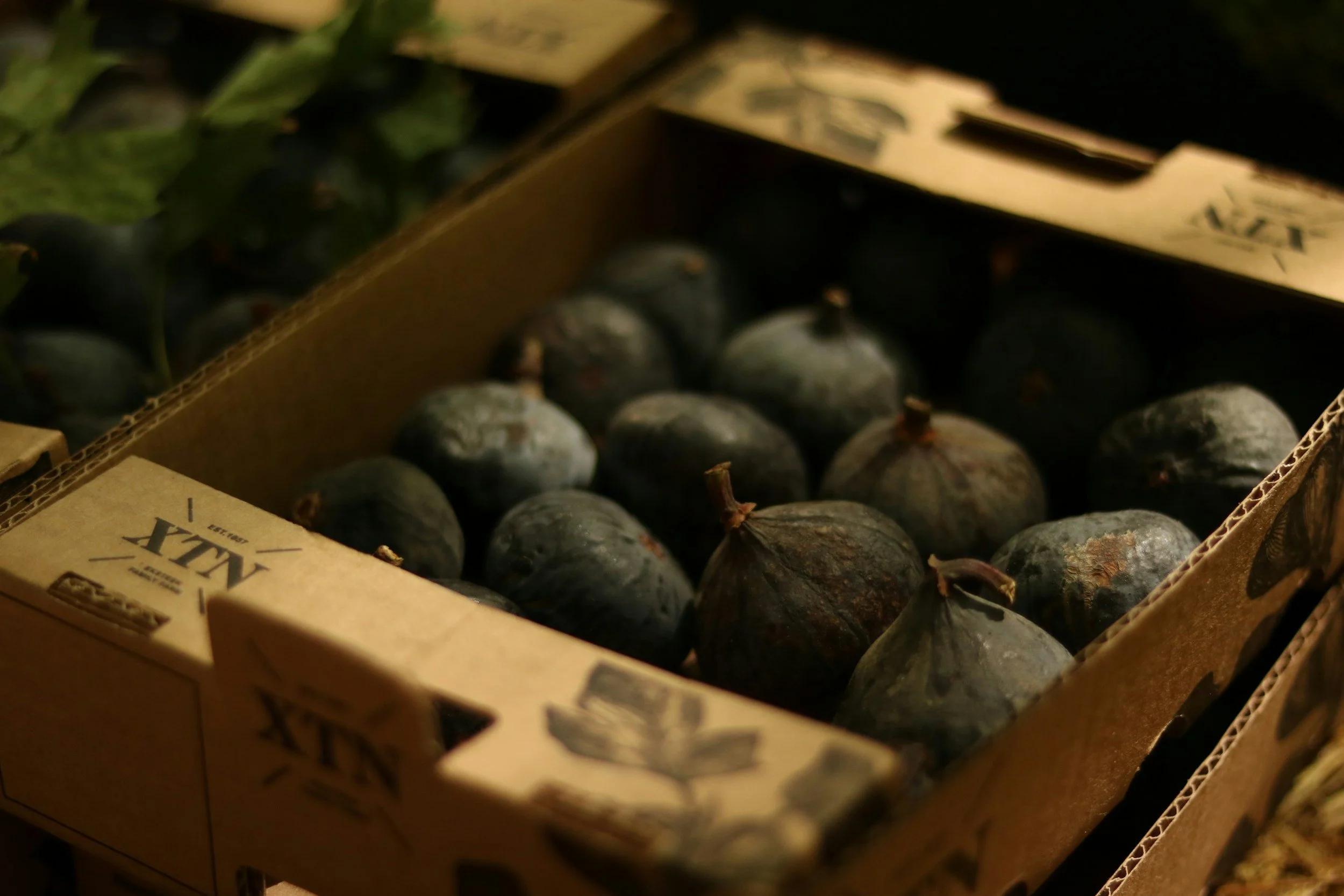 A cardboard box filled with black figs, some with stems, with blackberries and green leaves visible in the background.