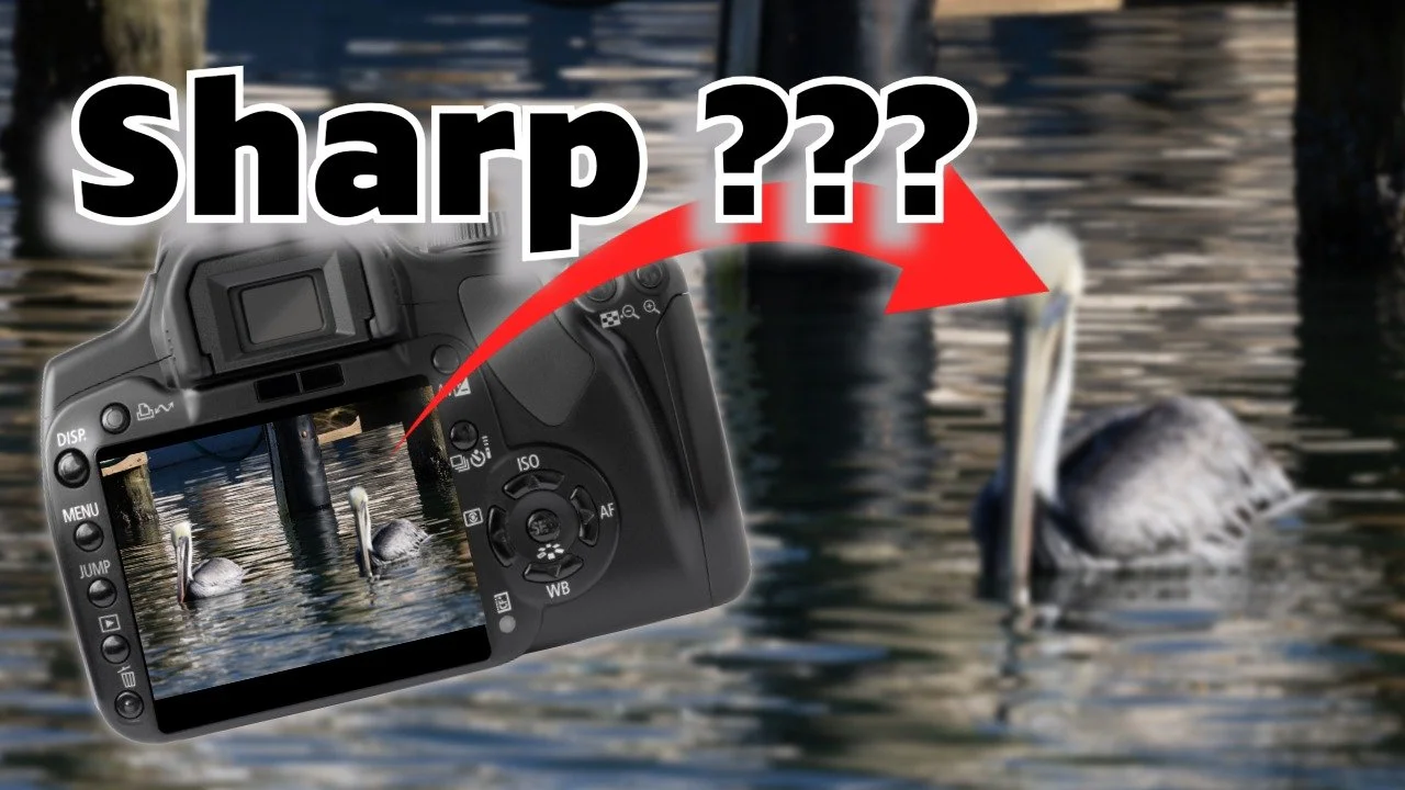 Why Your Photos Look Fine… Until You Get Home (And How to Prevent It)