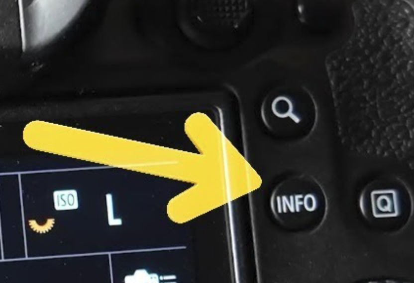 The Secret Power of the Canon INFO Button (And How to Fix a “Stuck” Screen)